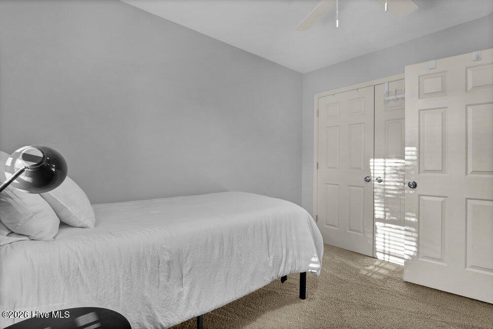 100555052 | Photo 19