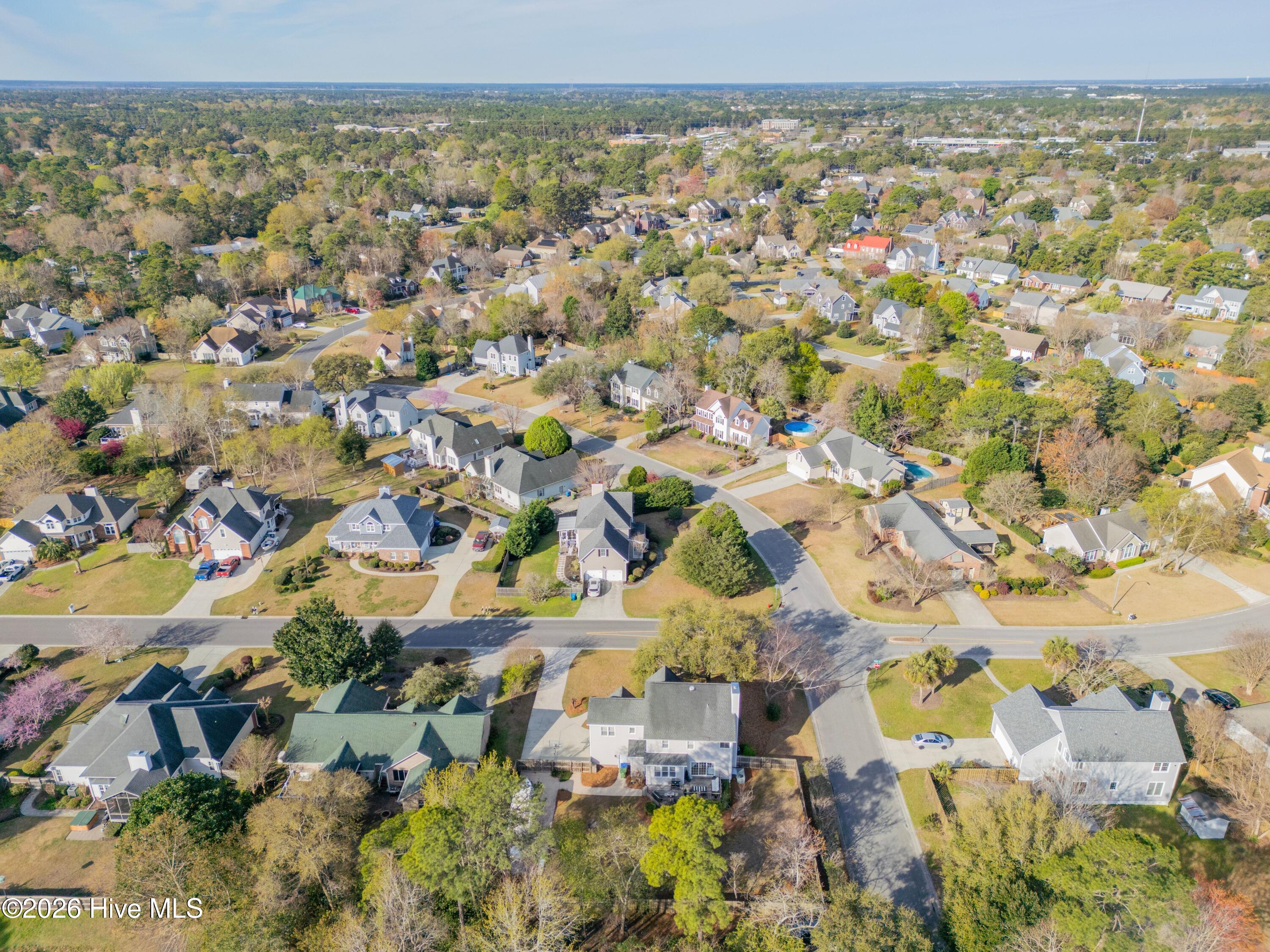 100561567 | Photo 45