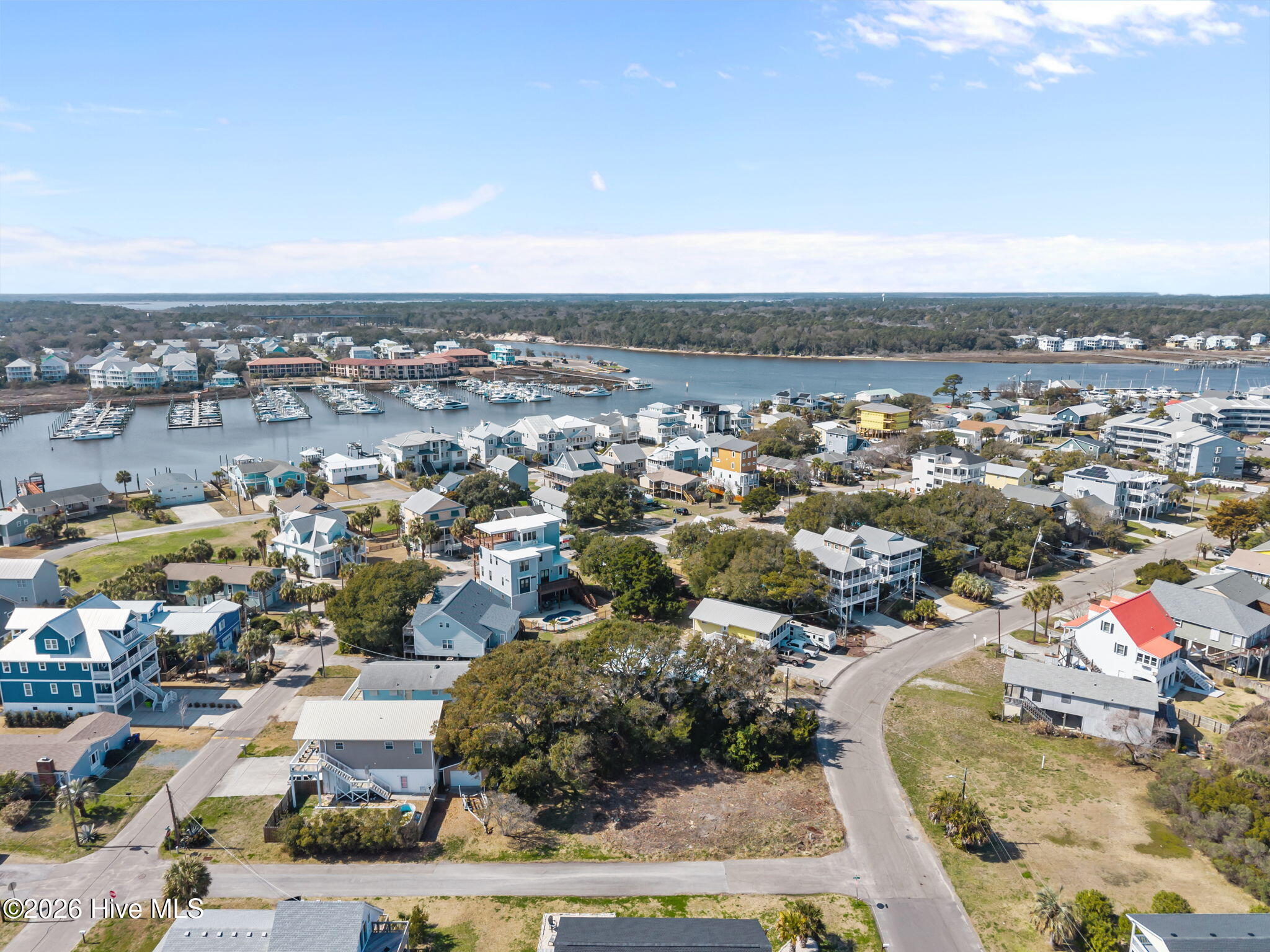 100557909 | Photo 12