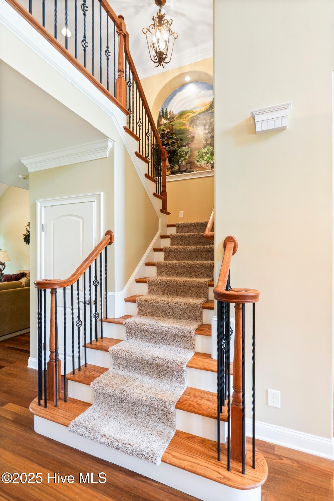 100518438 | Photo 12