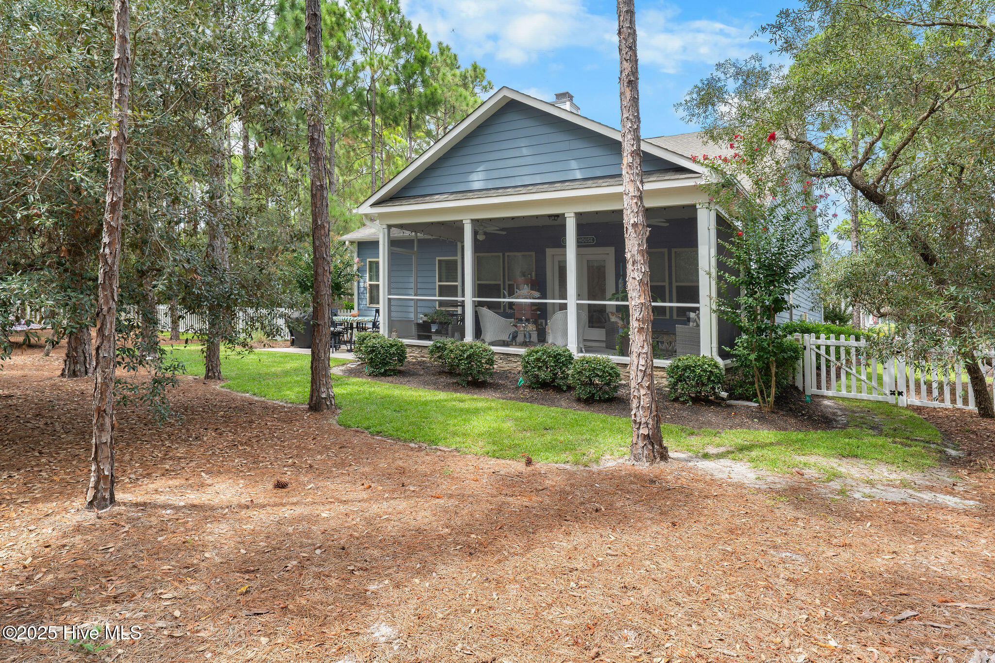 100529341 | Photo 53