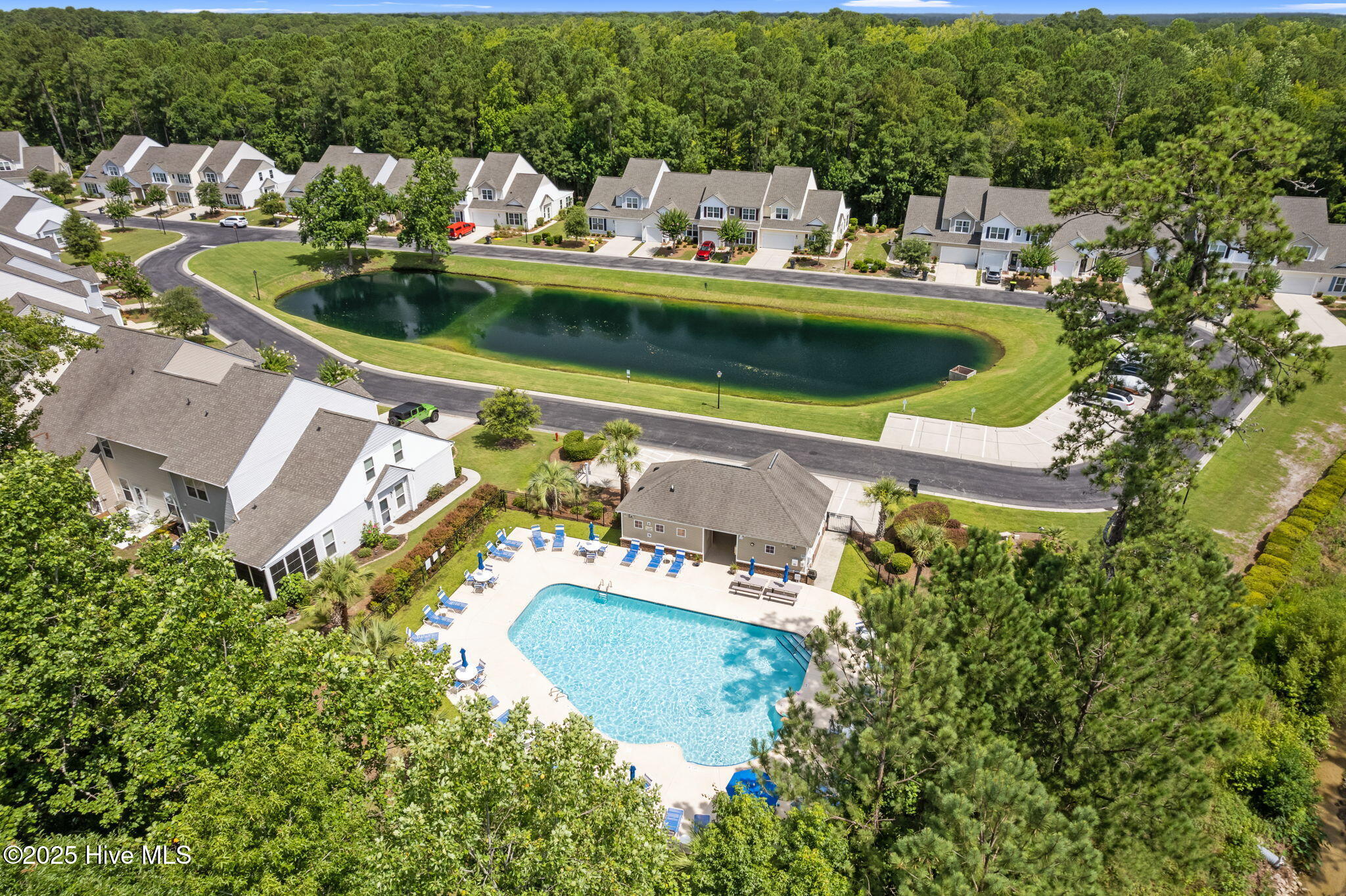 100517445 | Photo 38