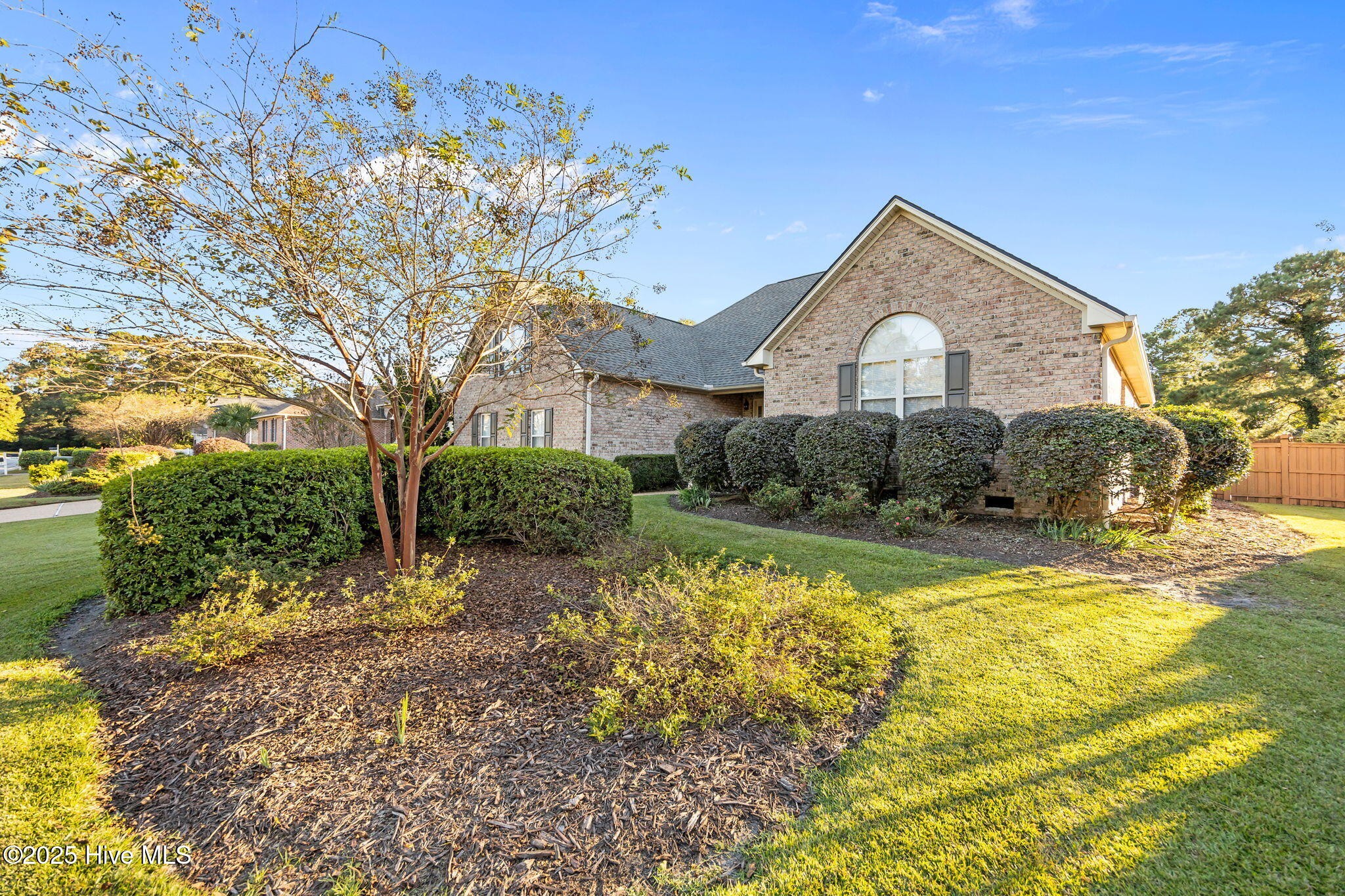 100515832 | Photo 11