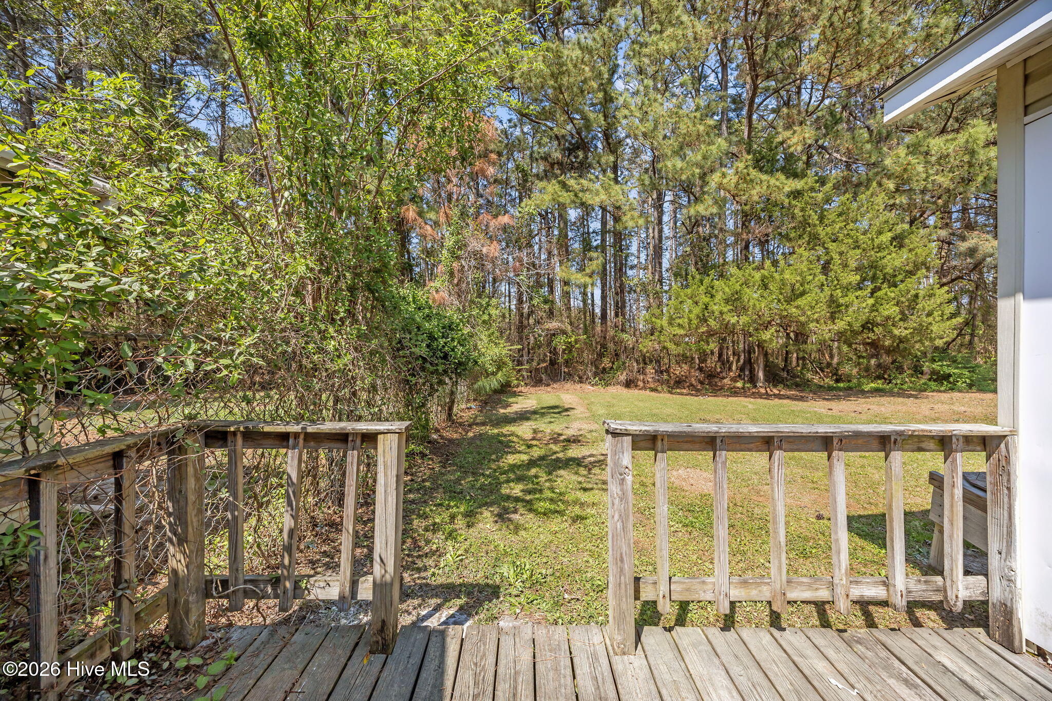 100563578 | Photo 45