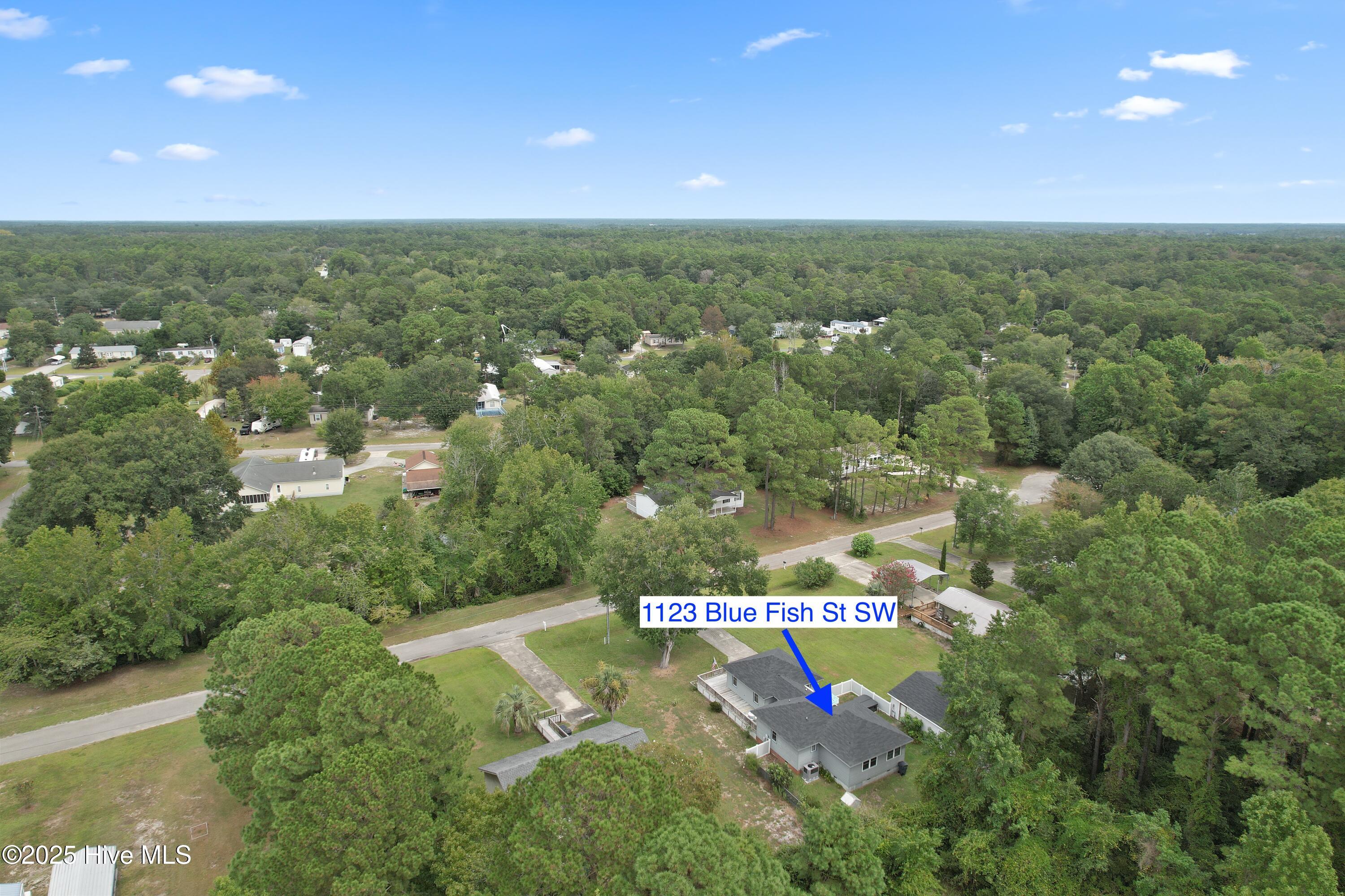 100530130 | Photo 50