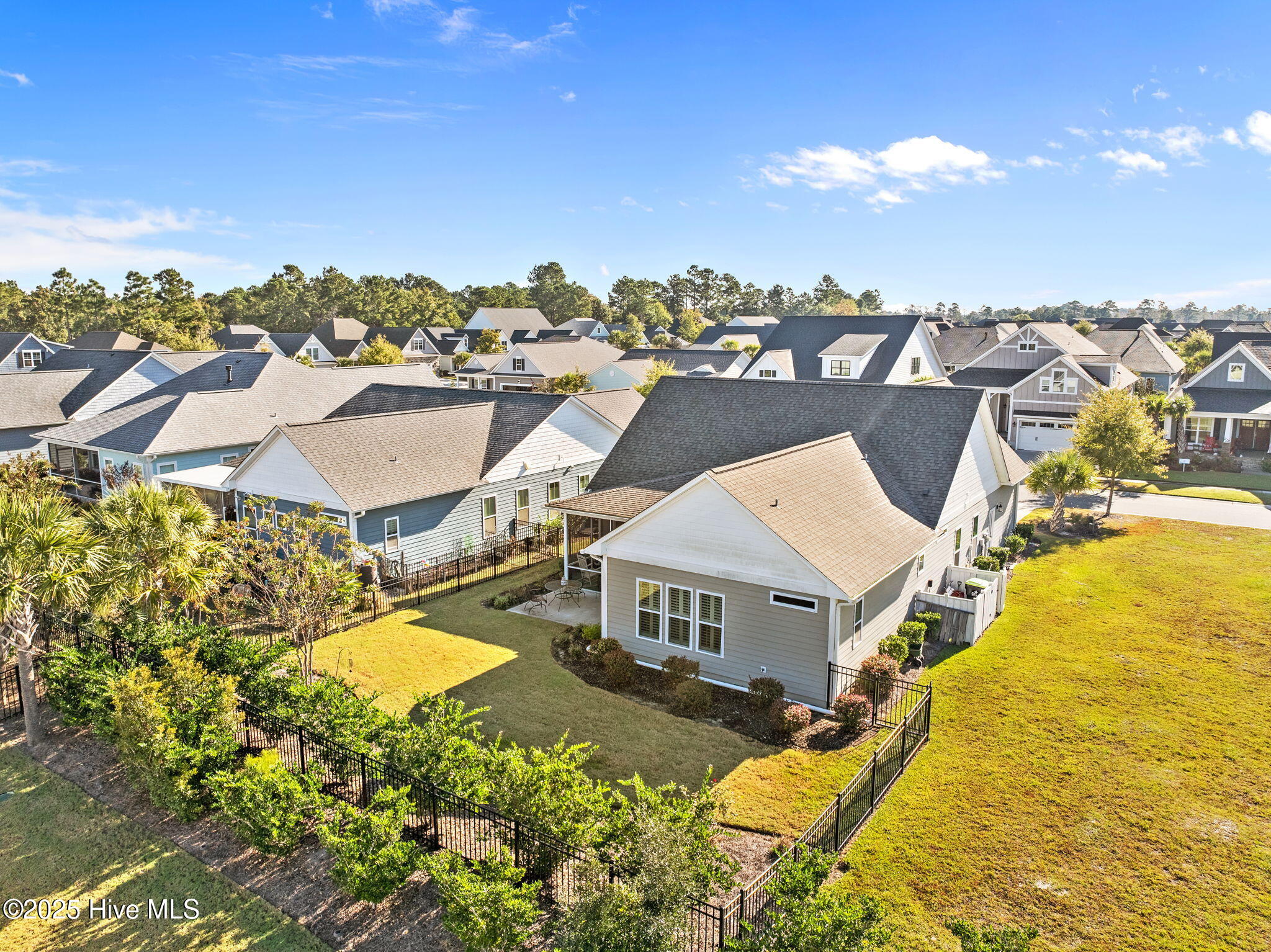 100537659 | Photo 50