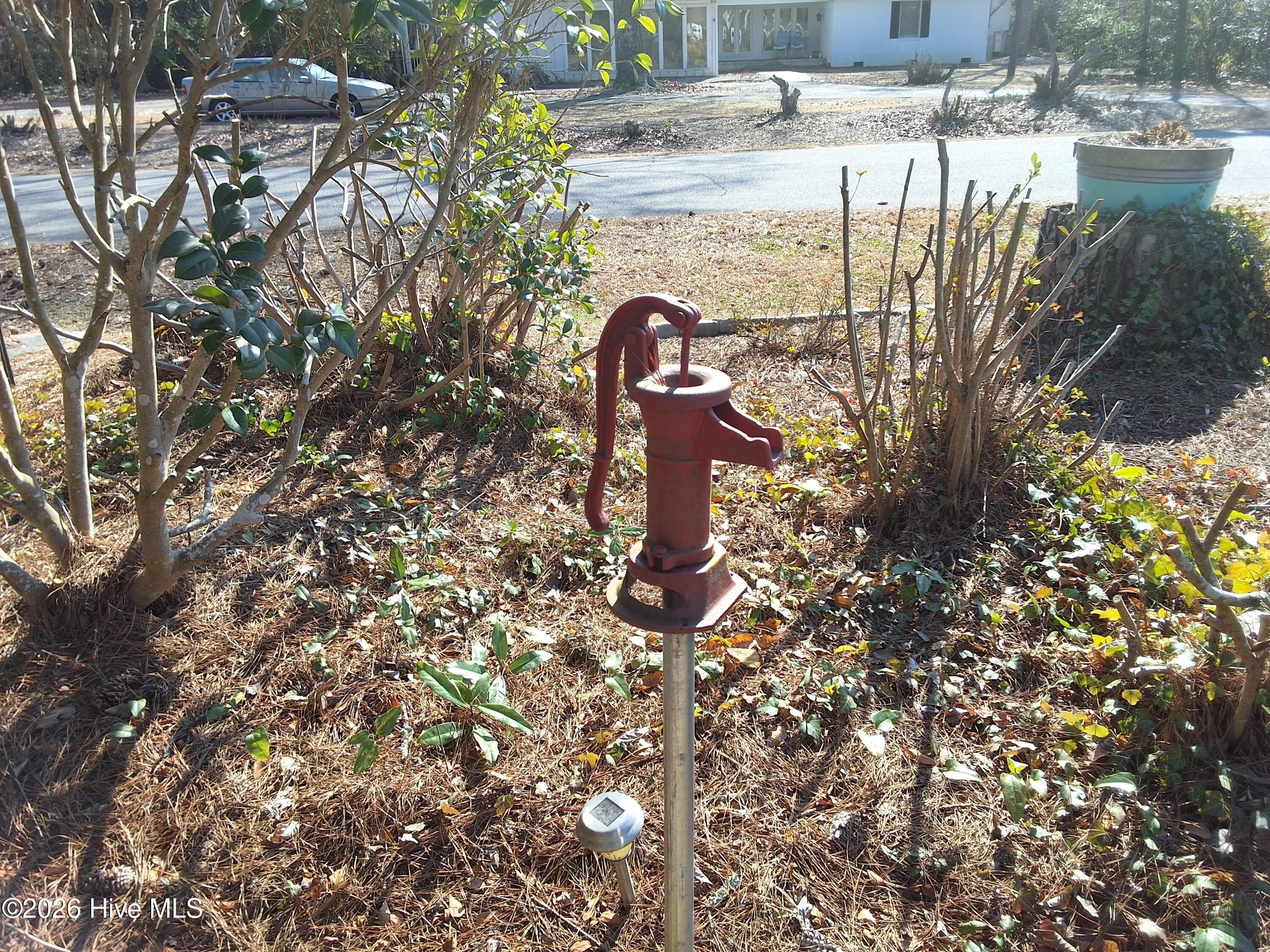 100554569 | Photo 99