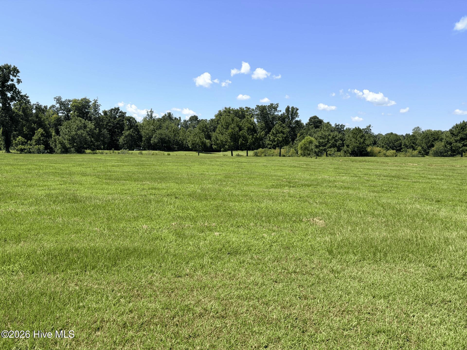 135-137 Royal, Merry Hill, North Carolina, 0 ,Residential Lot,For sale,Royal,100597981