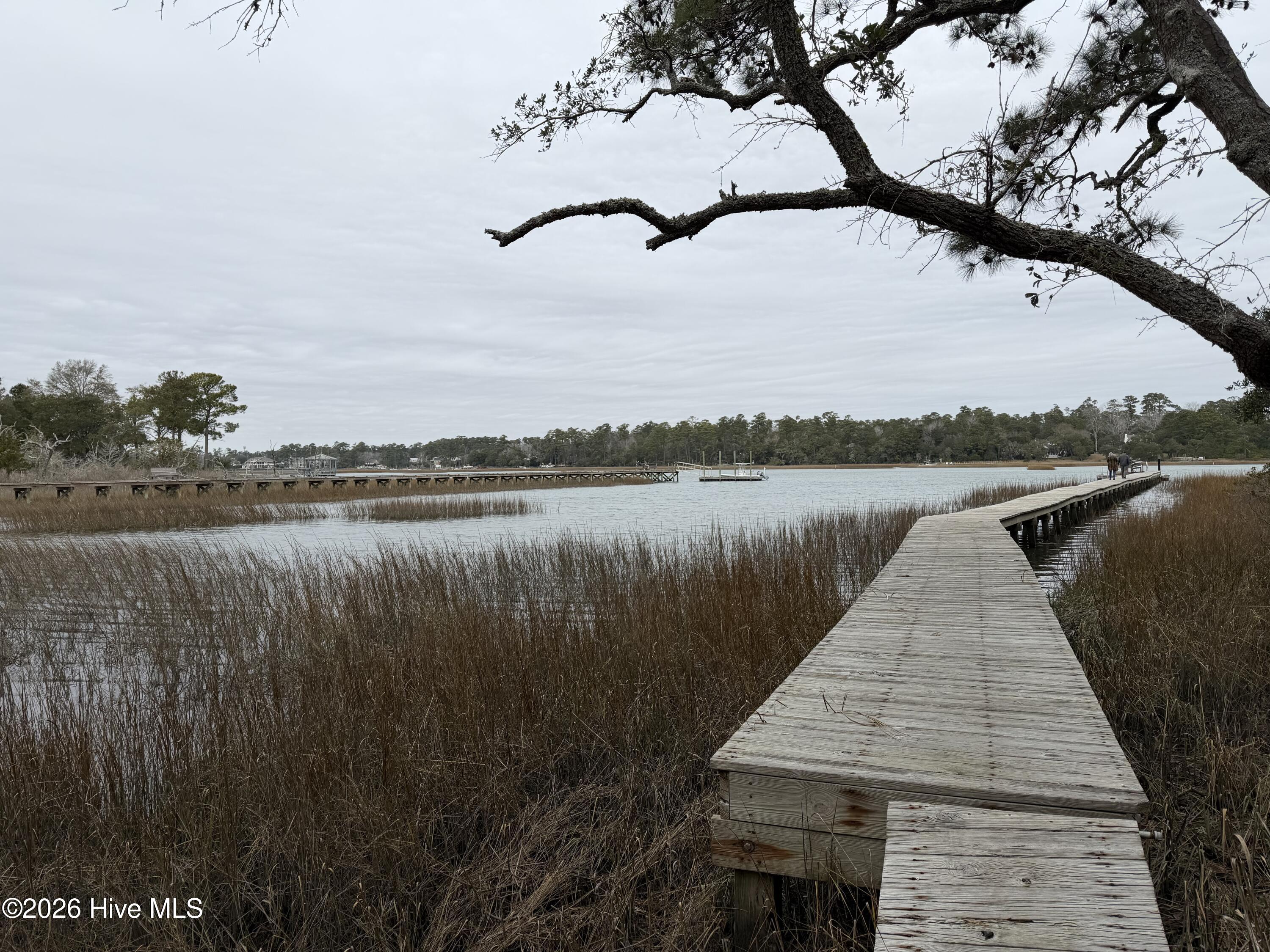 100554424 | Photo 29