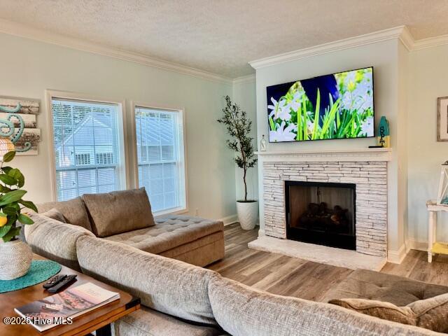 100545035 | Photo 84