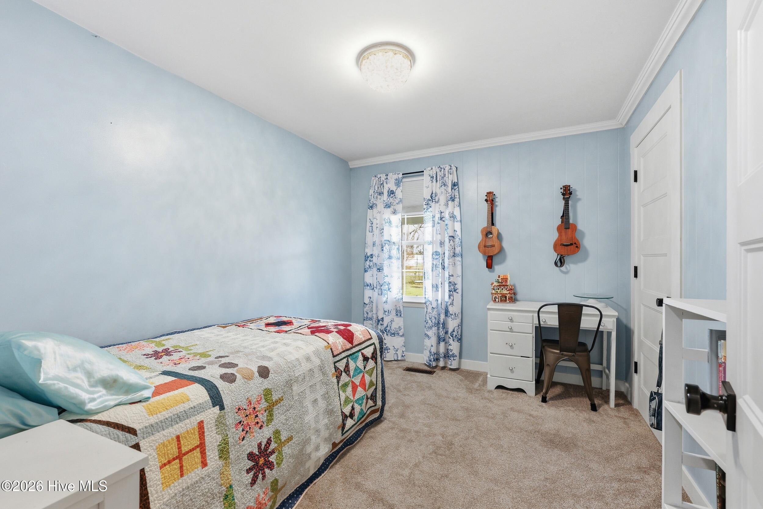 100562935 | Photo 29