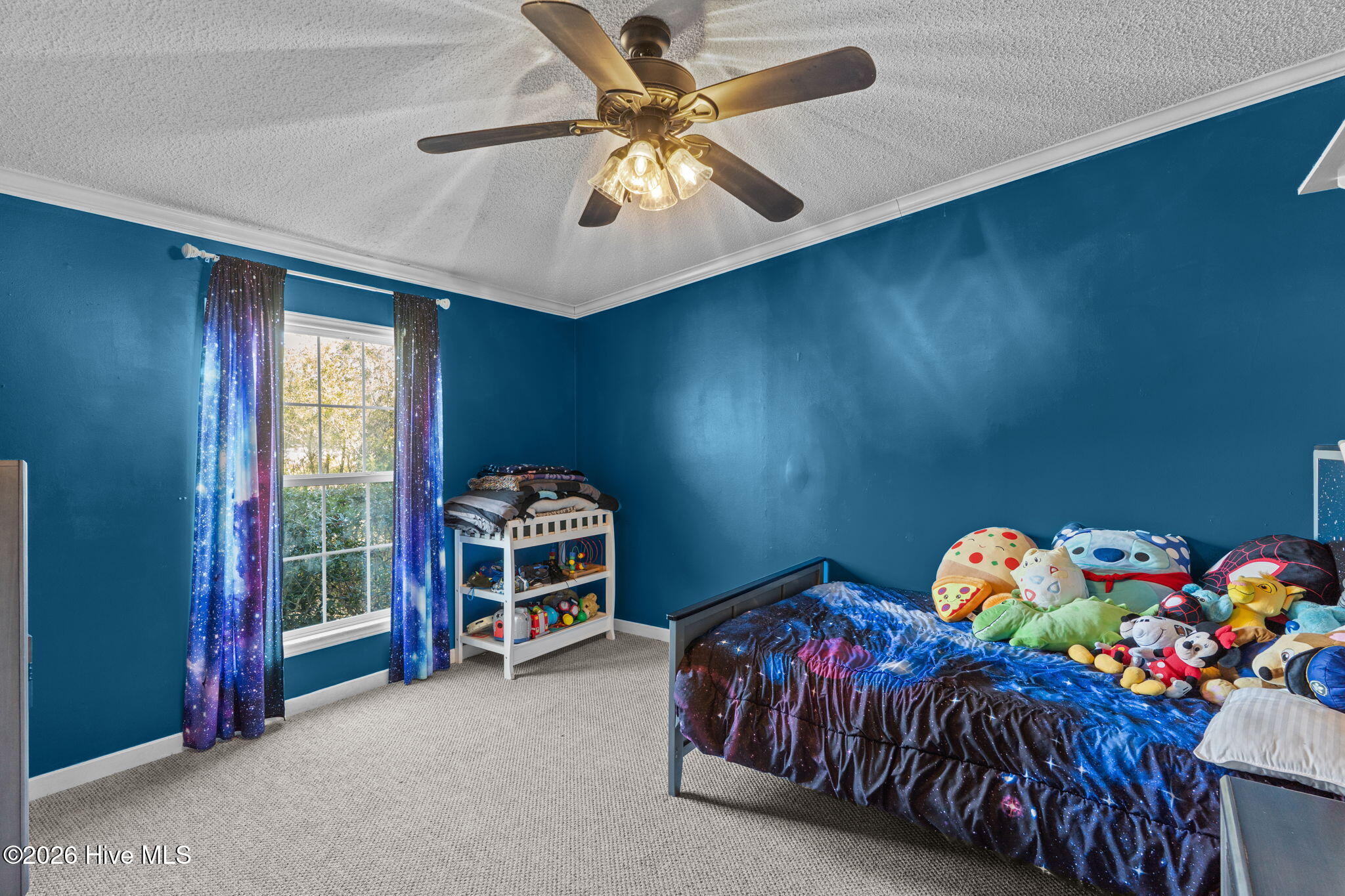 100544369 | Photo 25