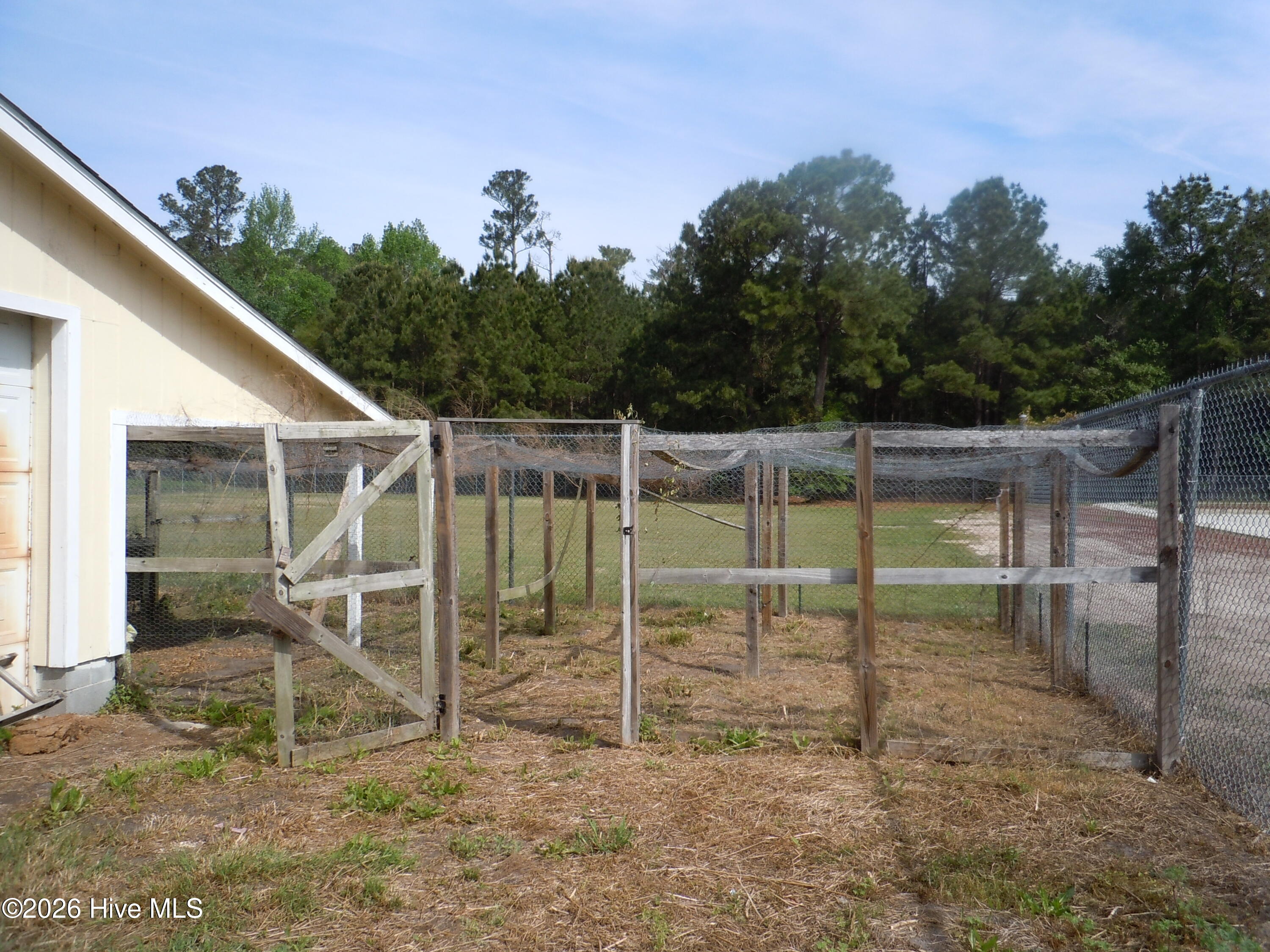 100565752 | Photo 62