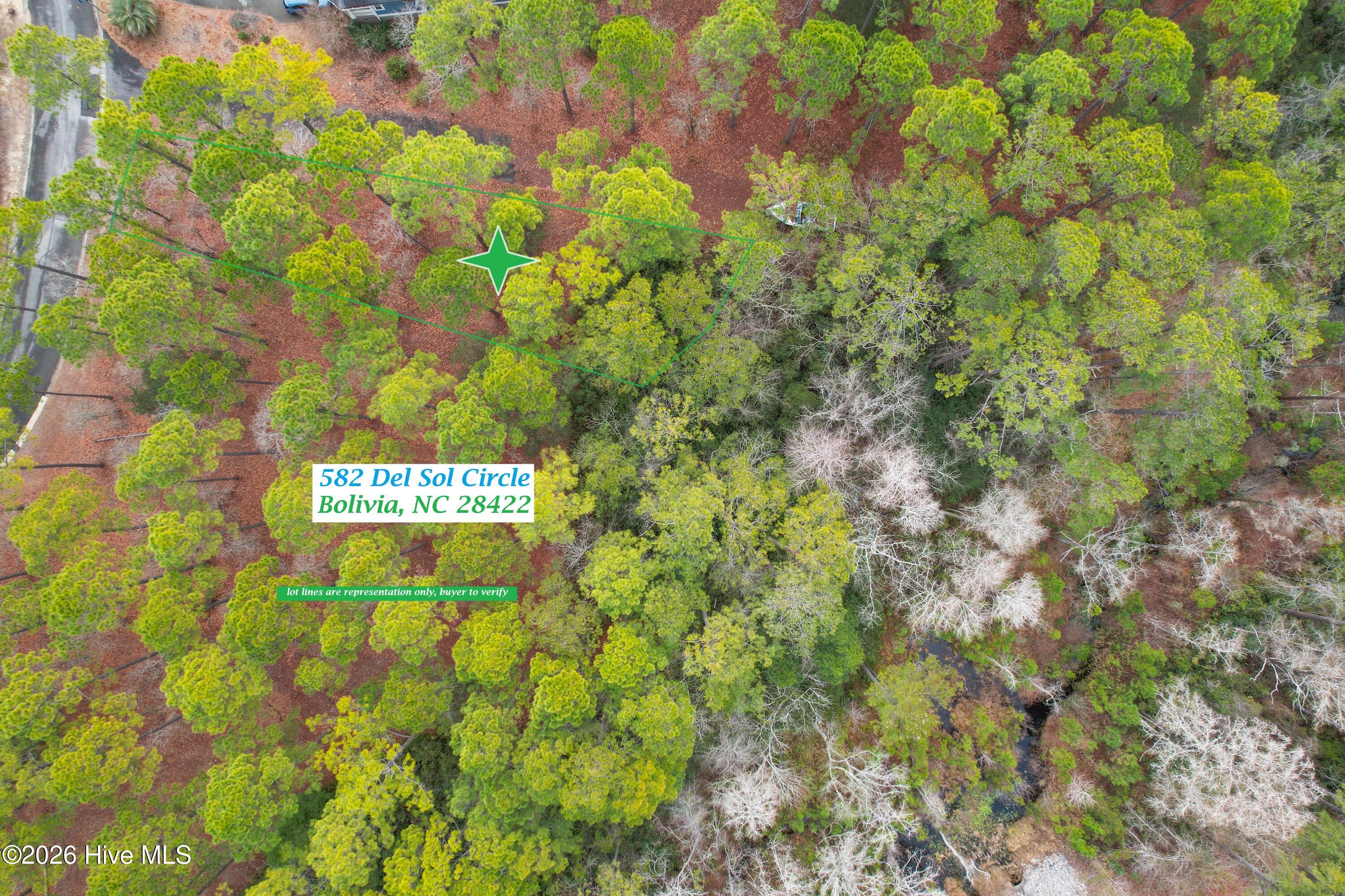 100555232 | Photo 11