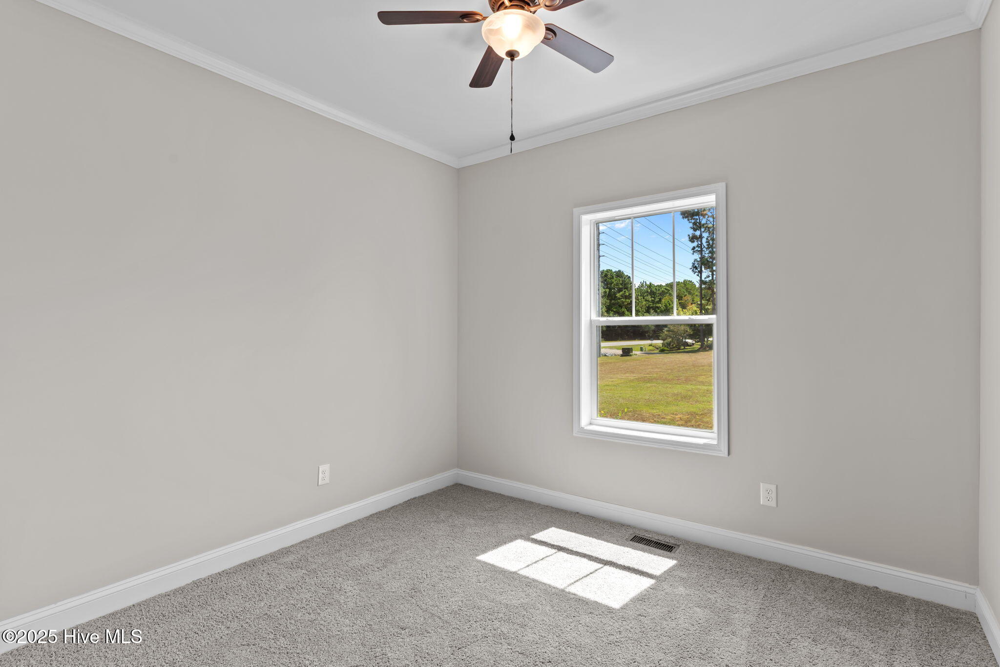 100529726 | Photo 30