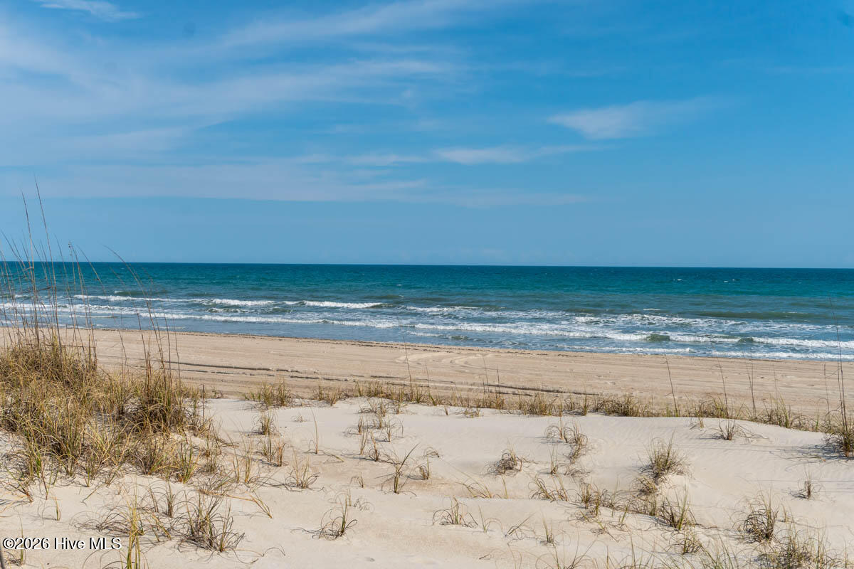 100563259 | Photo 10