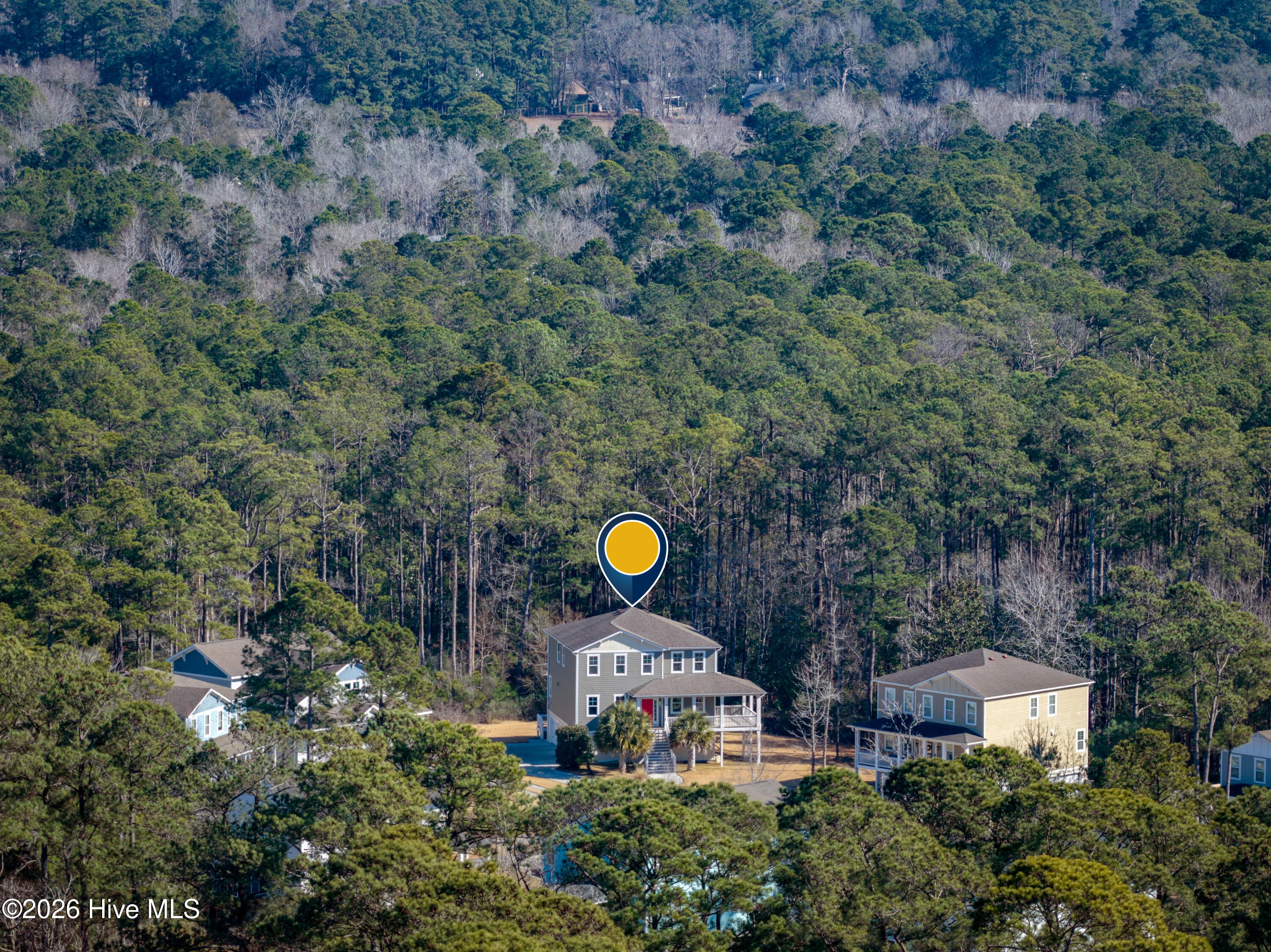 100551547 | Photo 38