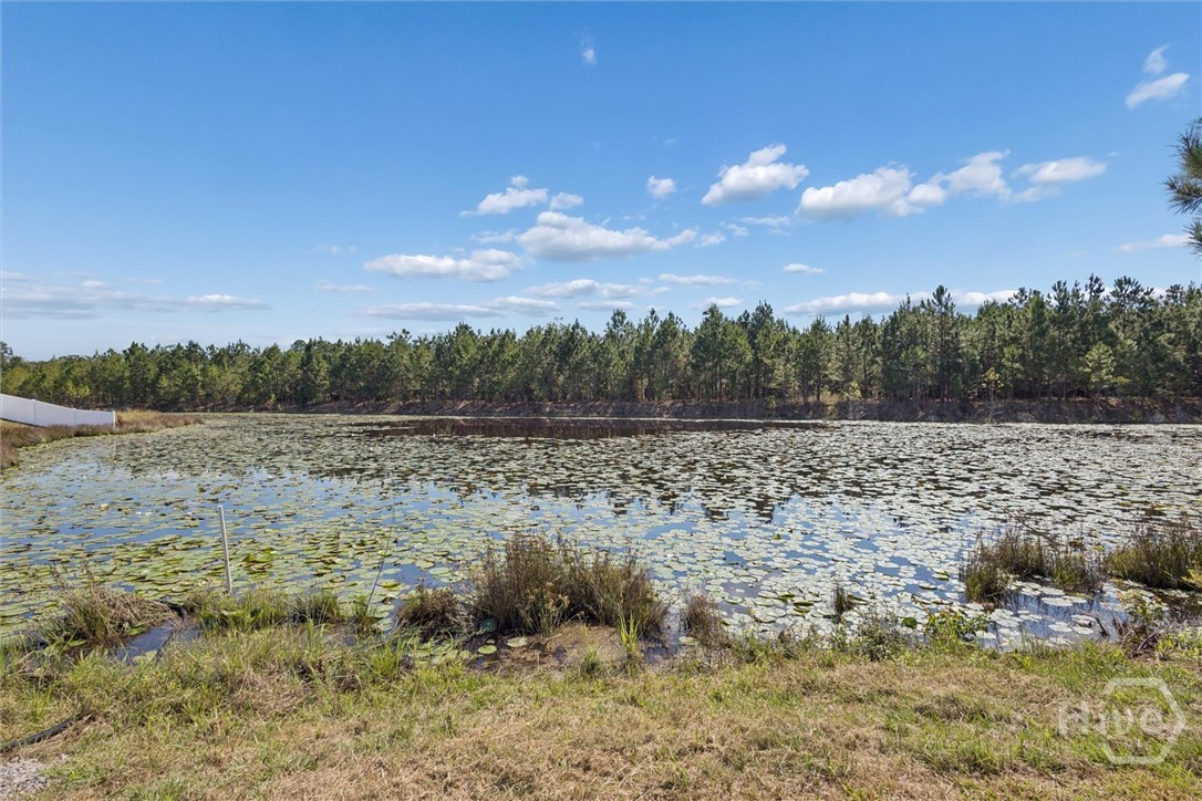 455 Tondee Way, Midway, GA 31320 Listing Photo  49