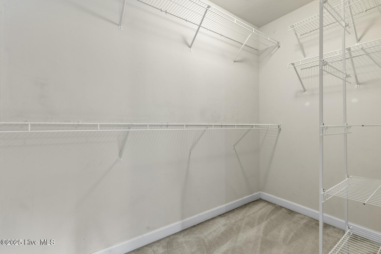 100532522 | Photo 29