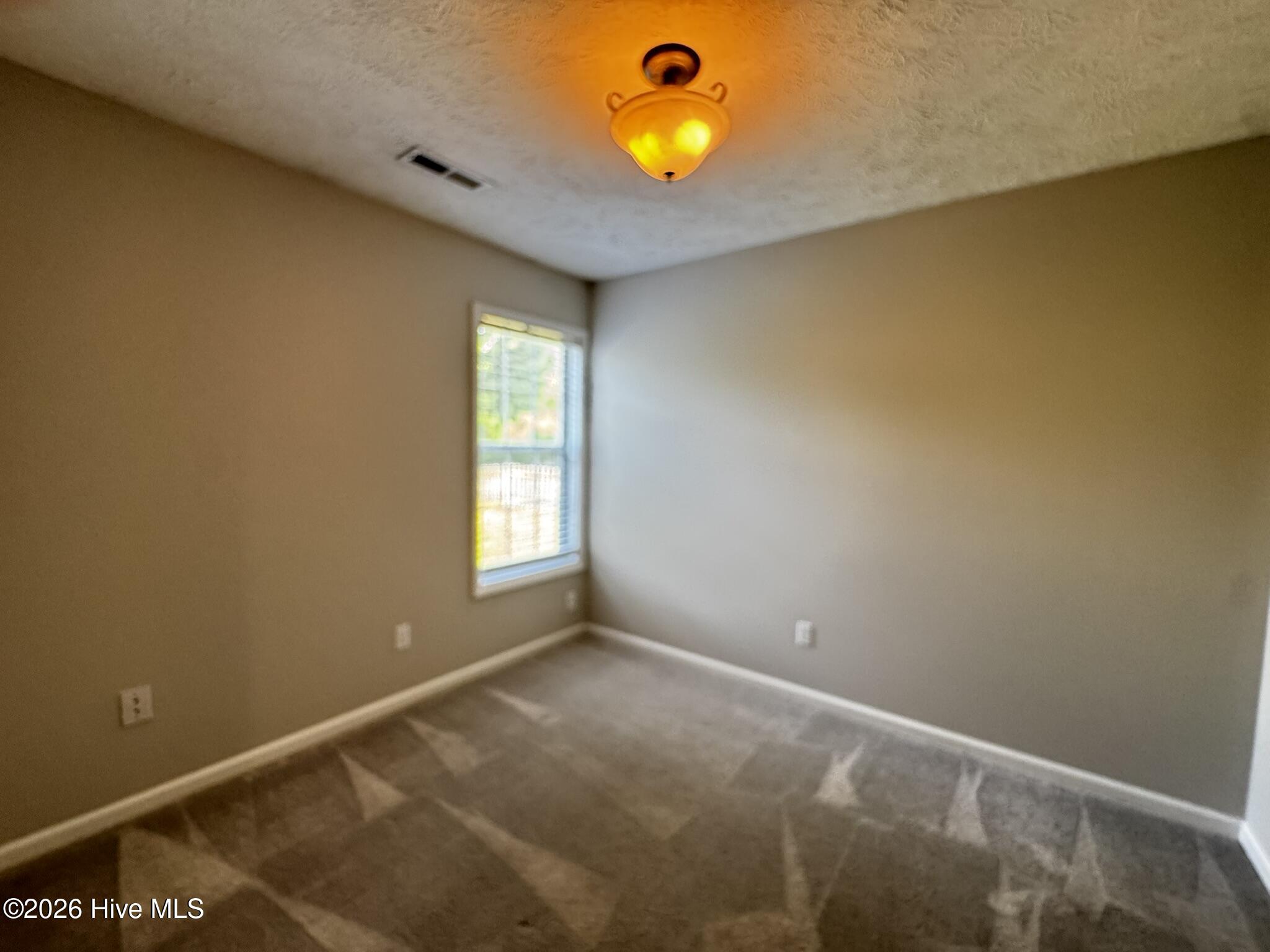 100550943 | Photo 14