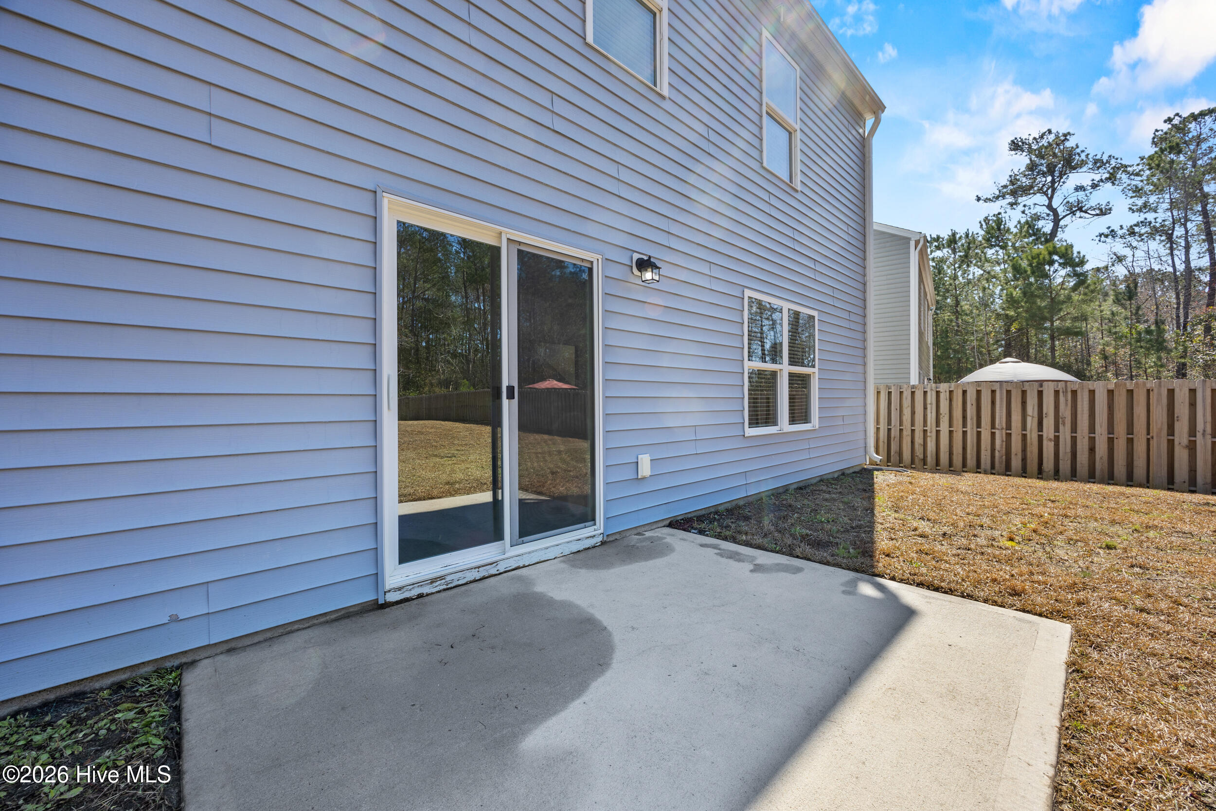 100556435 | Photo 42