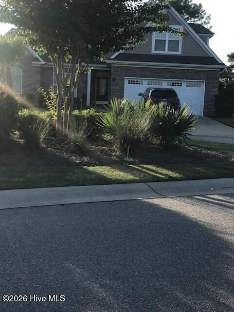 100557373 | Photo 11