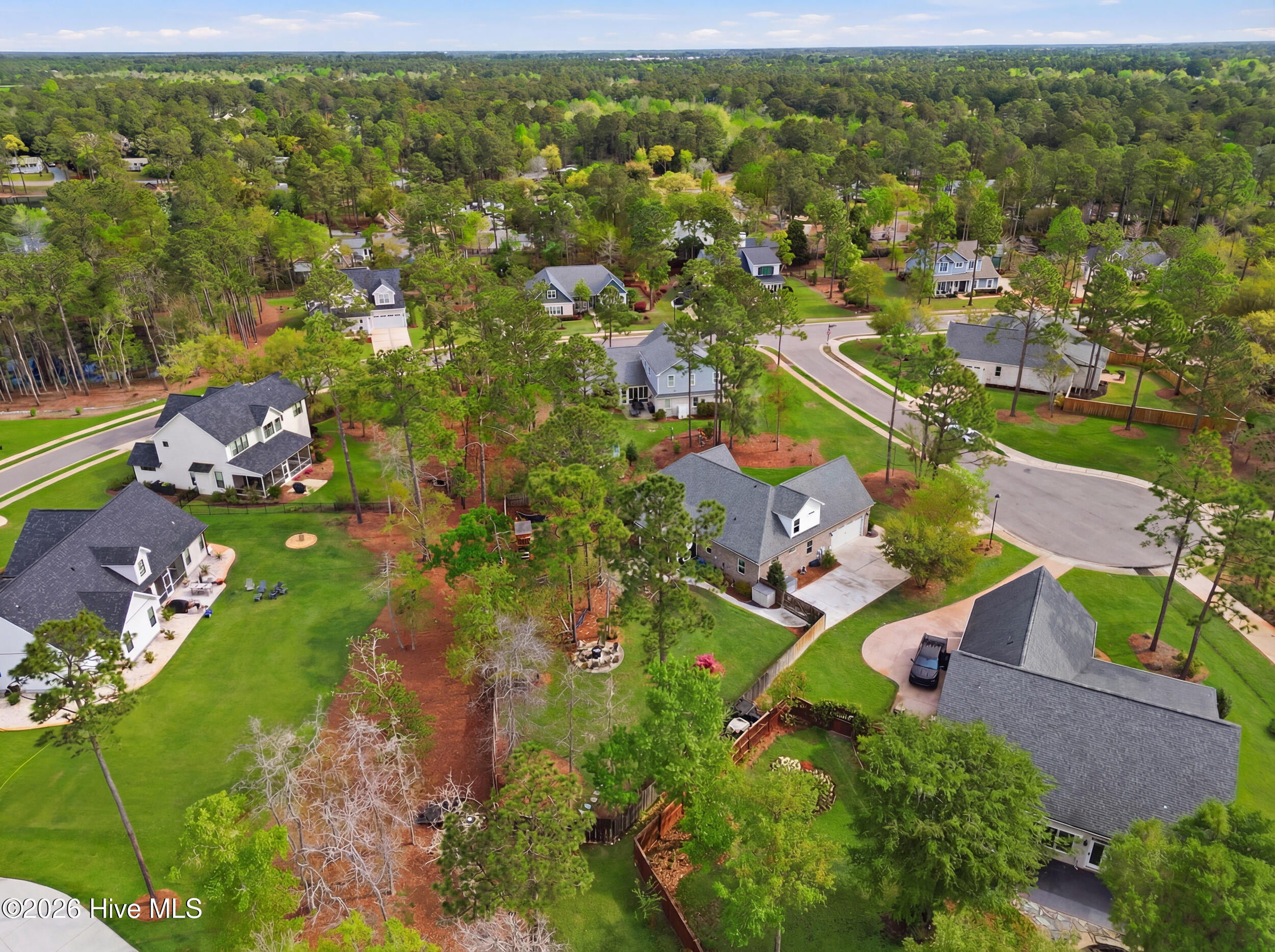 100565388 | Photo 73