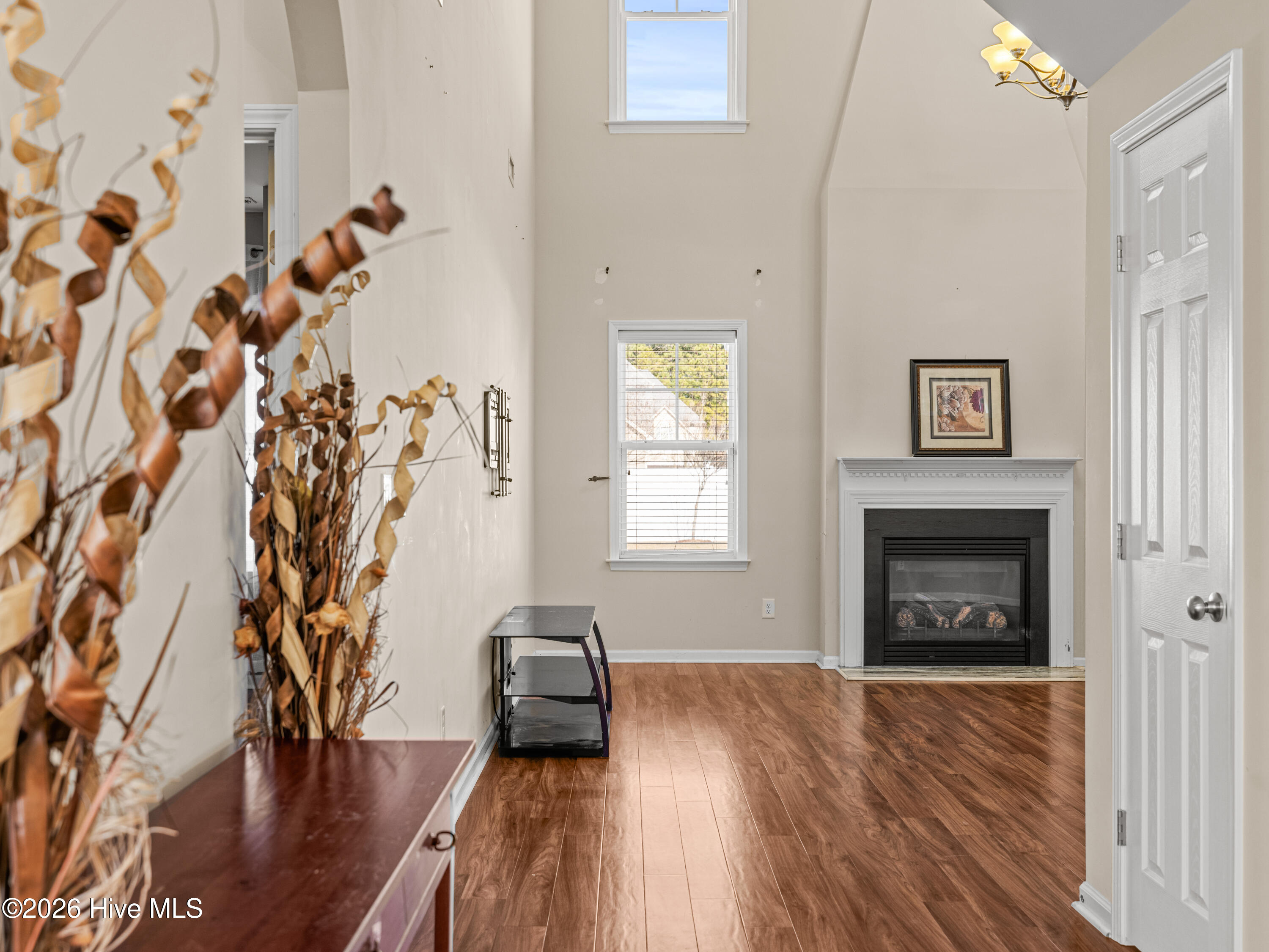 100553389 | Photo 13