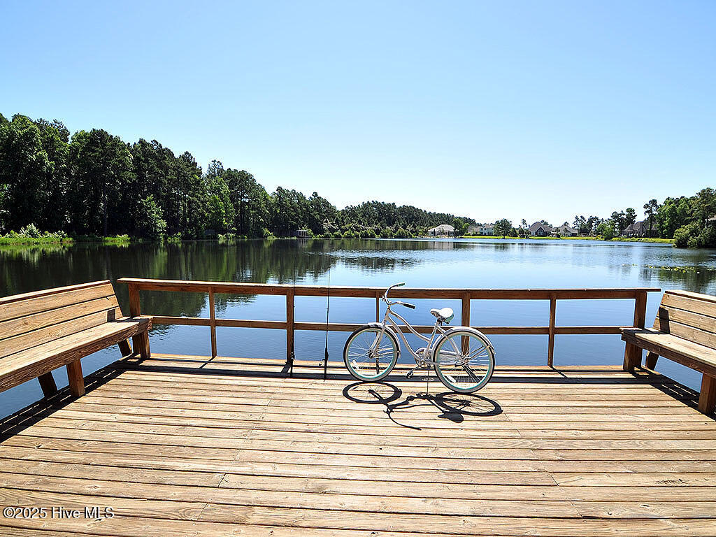 100544453 | Photo 53