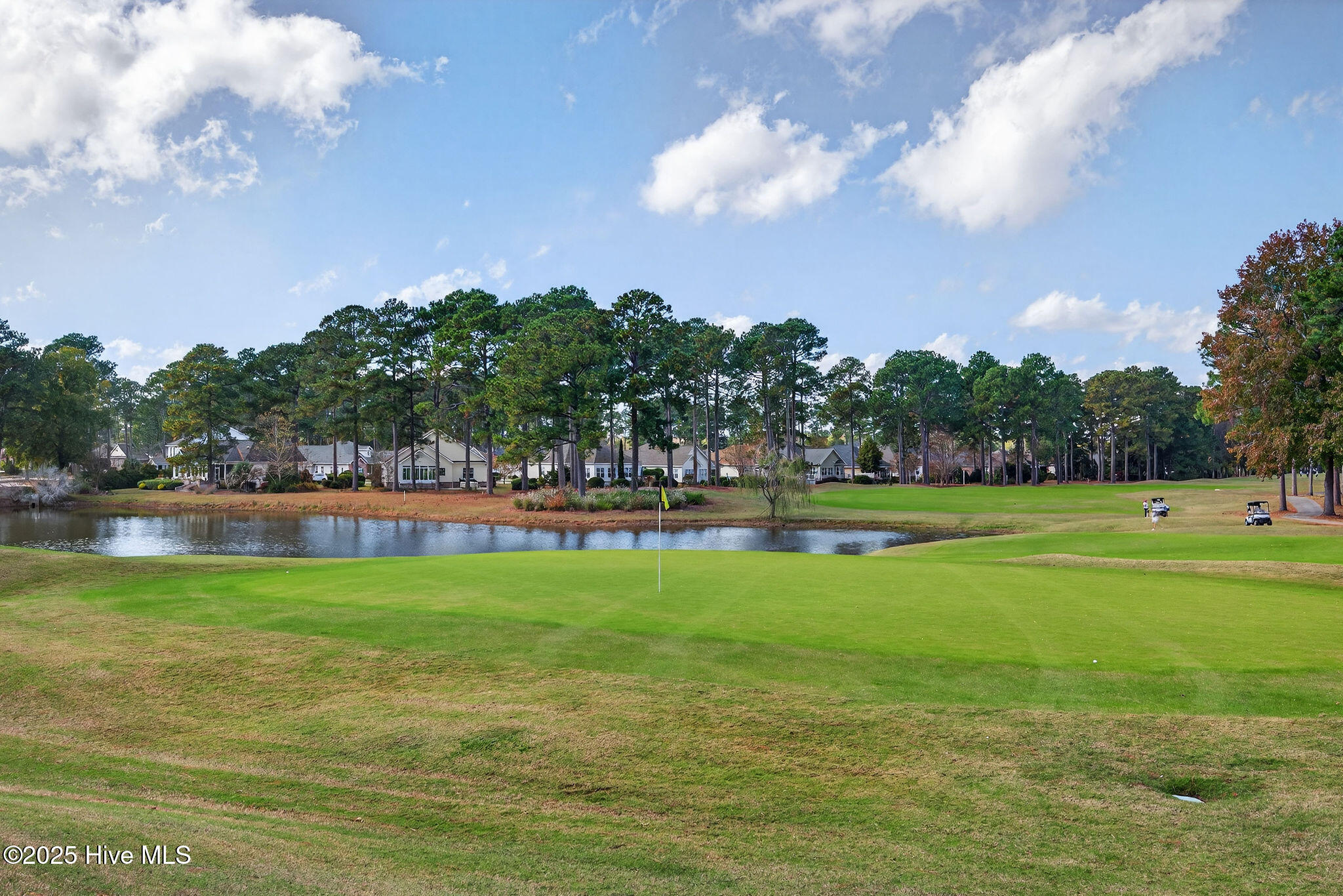 100541027 | Photo 46