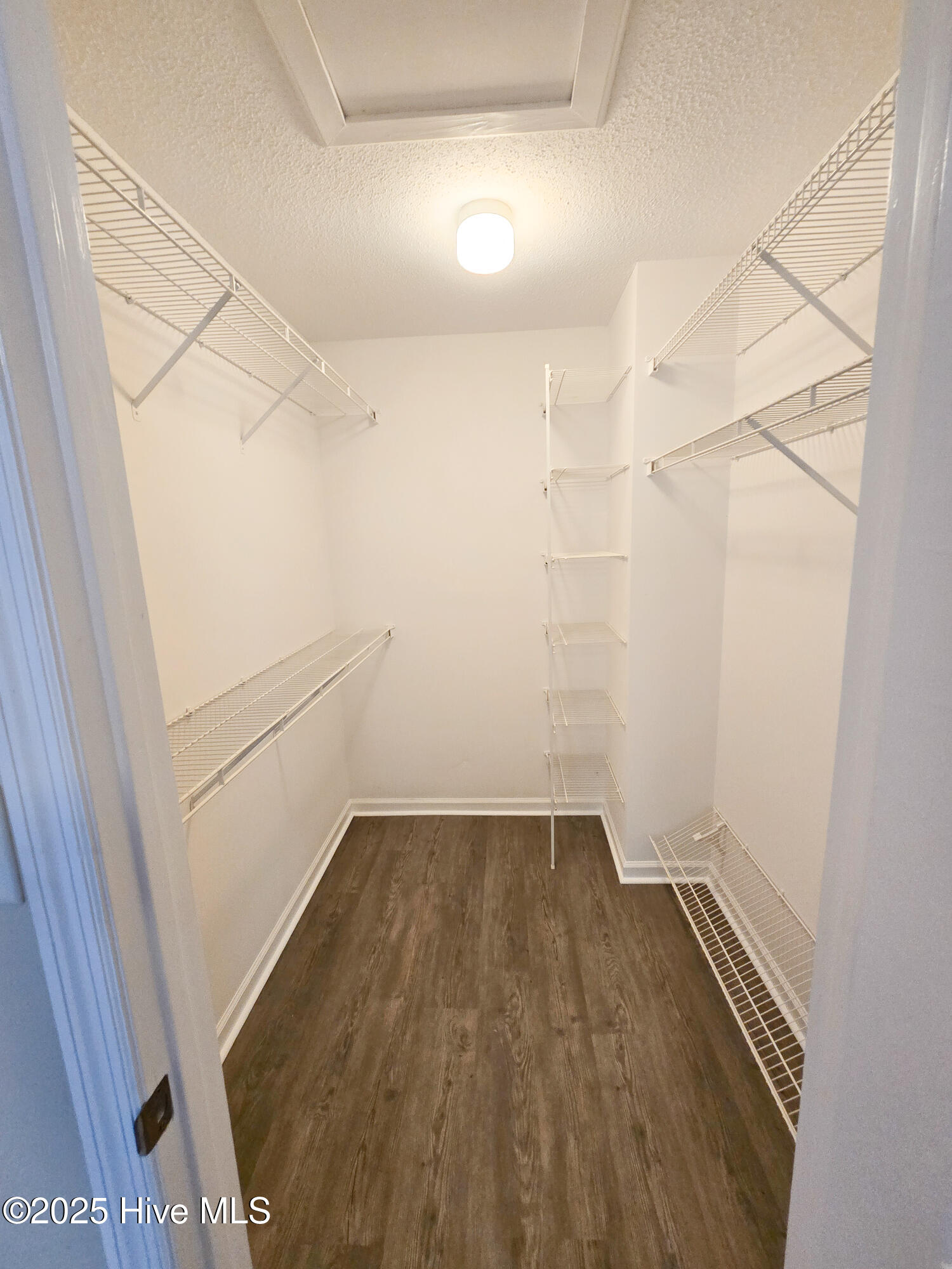 100533714 | Photo 15