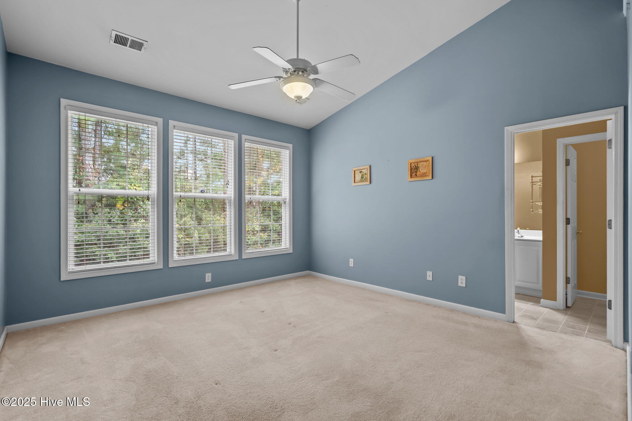 100538741 | Photo 25