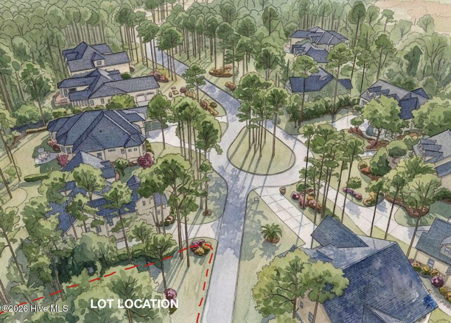 100569785 | Photo 10