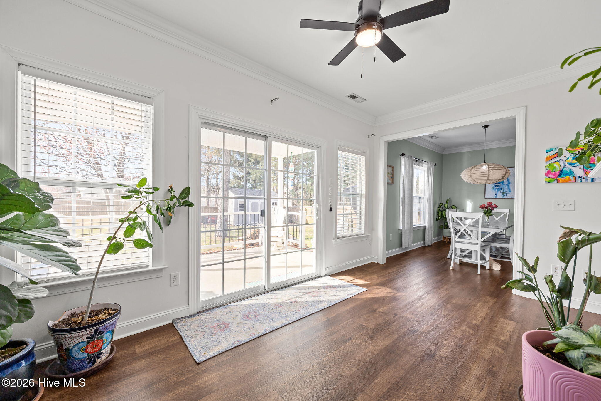 100558969 | Photo 32