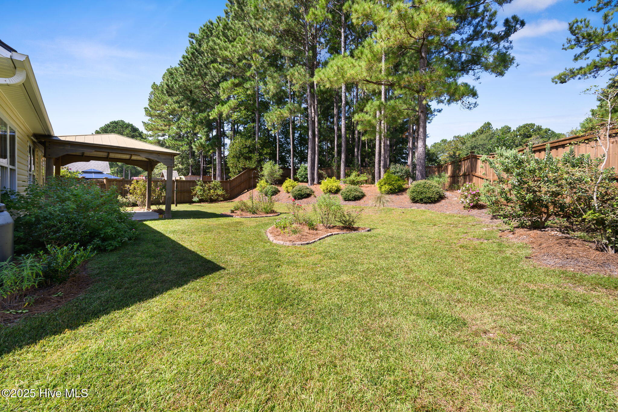 100525052 | Photo 31