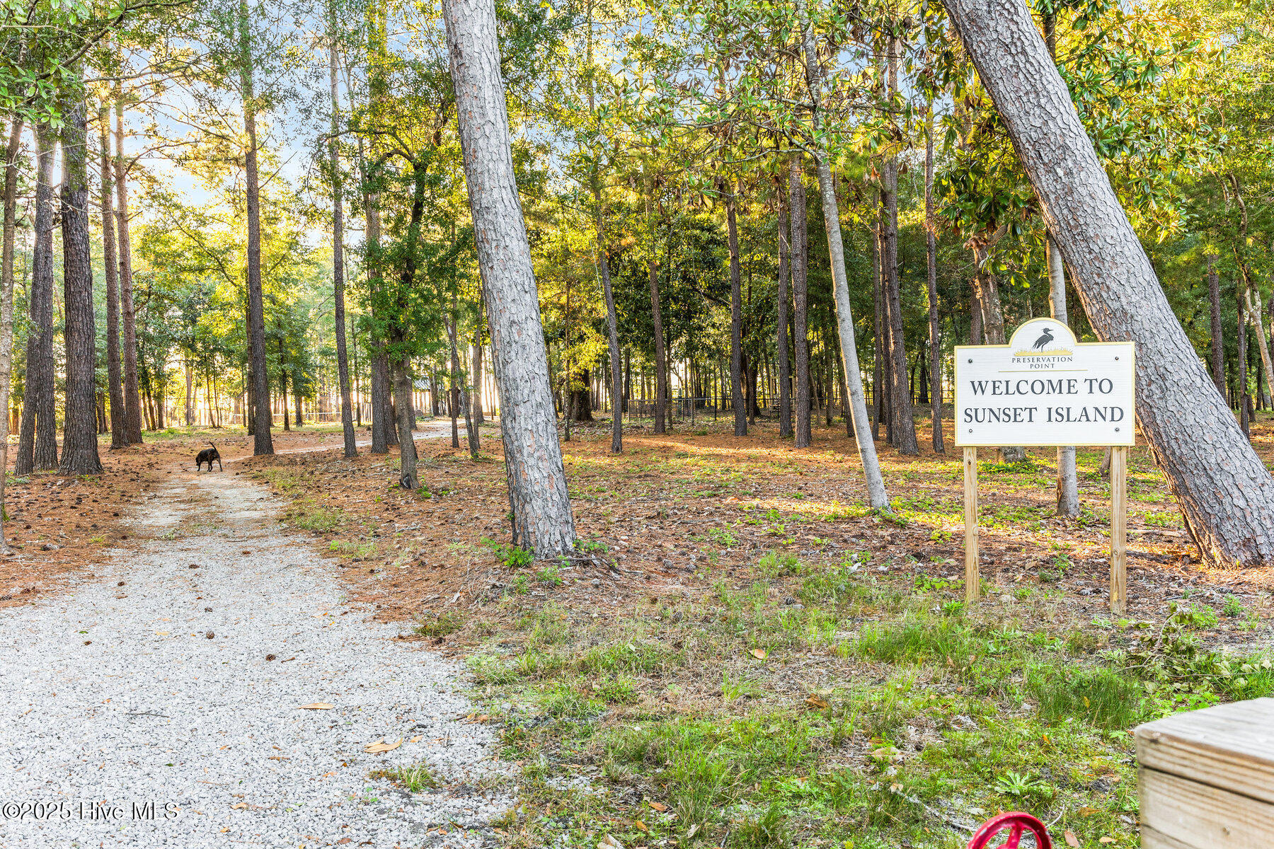 100537930 | Photo 68