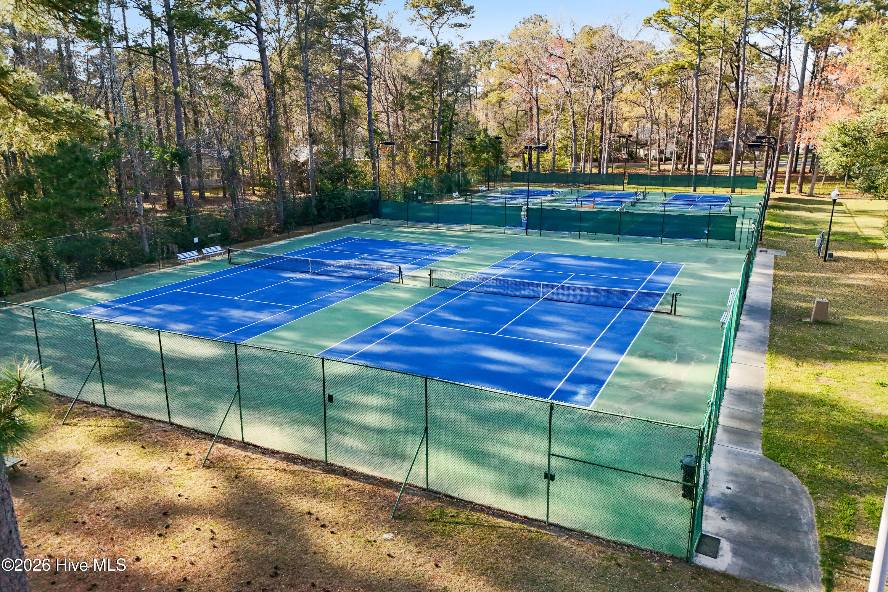 100563412 | Photo 47