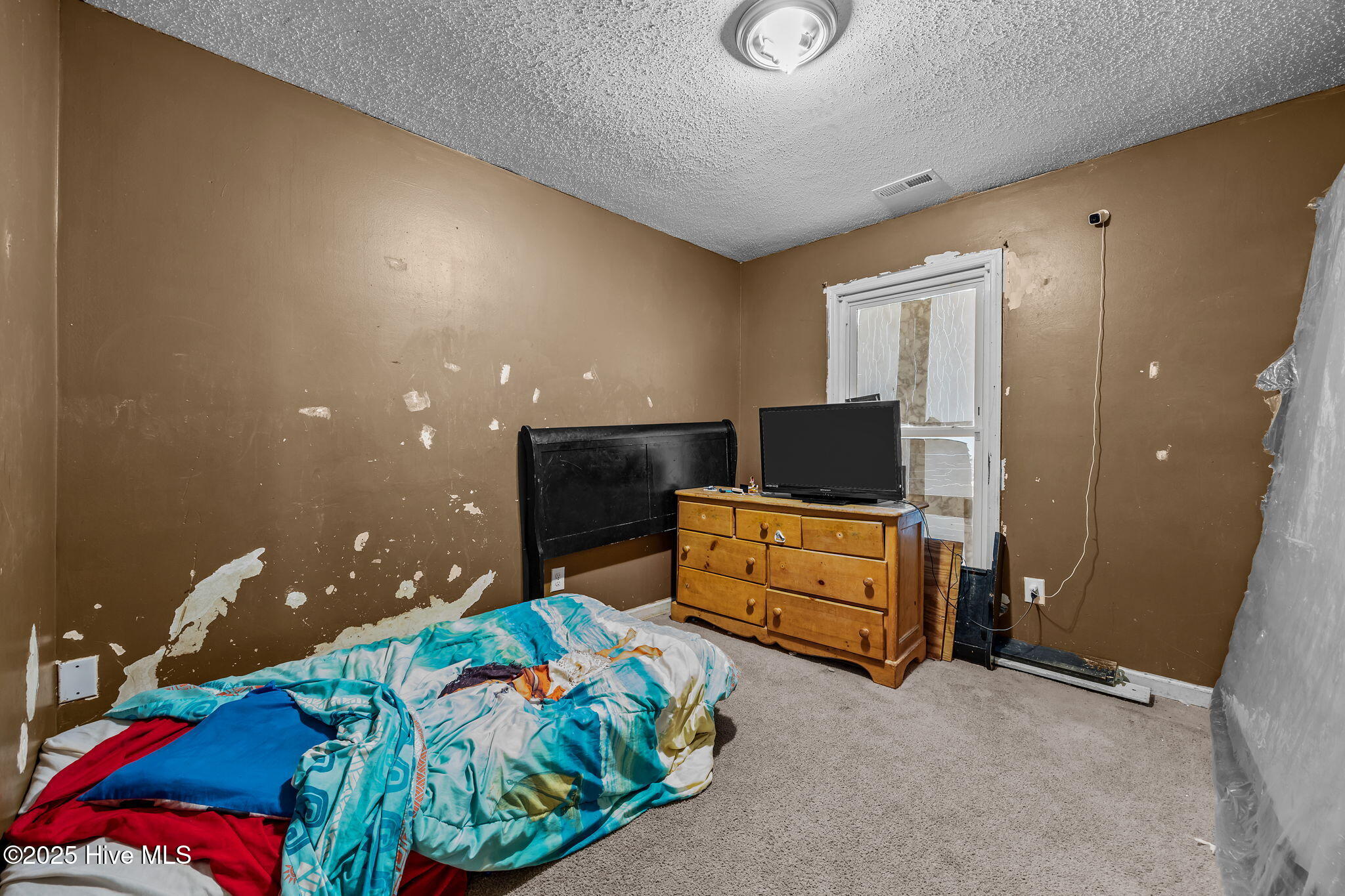 100545401 | Photo 24