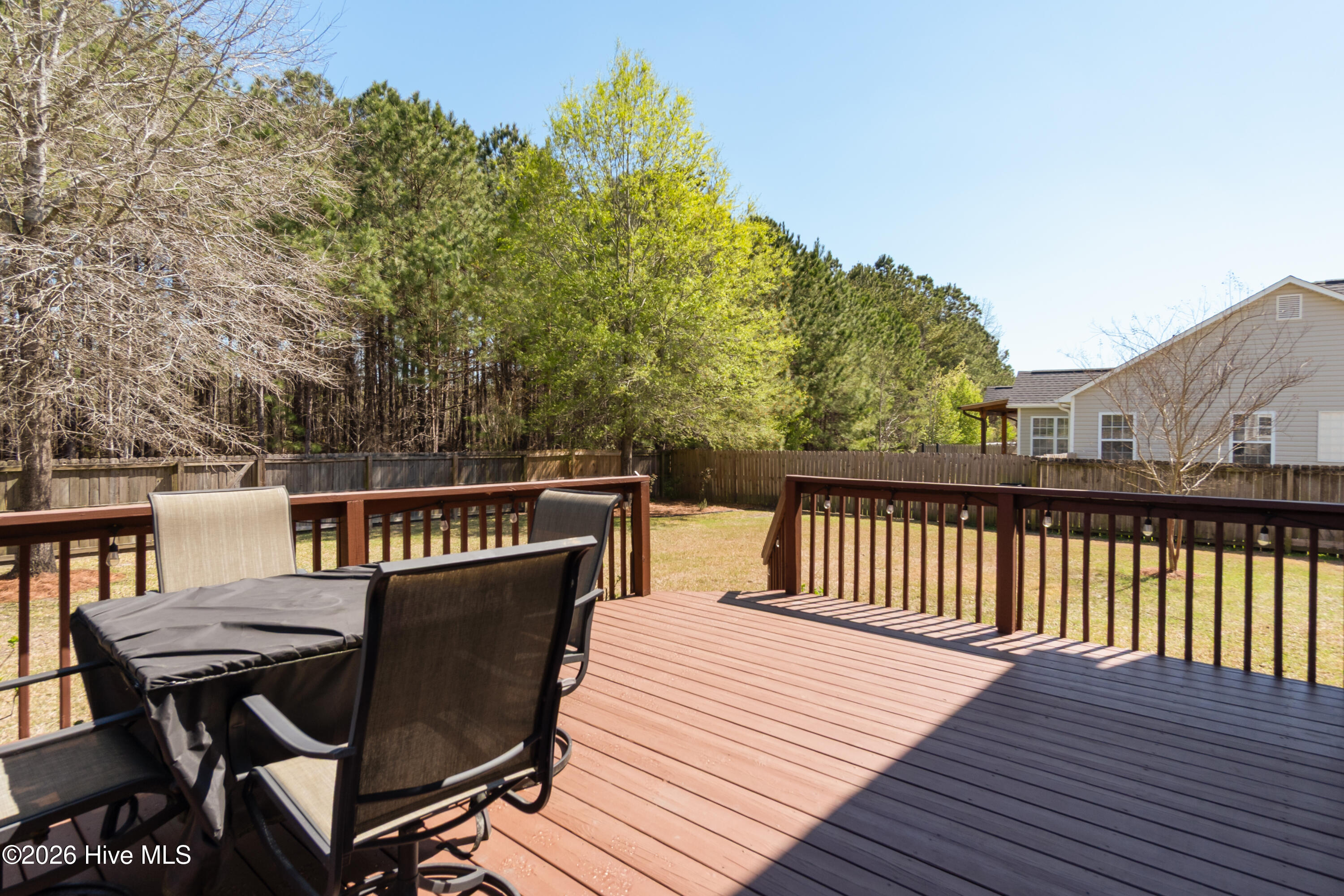 100569797 | Photo 53