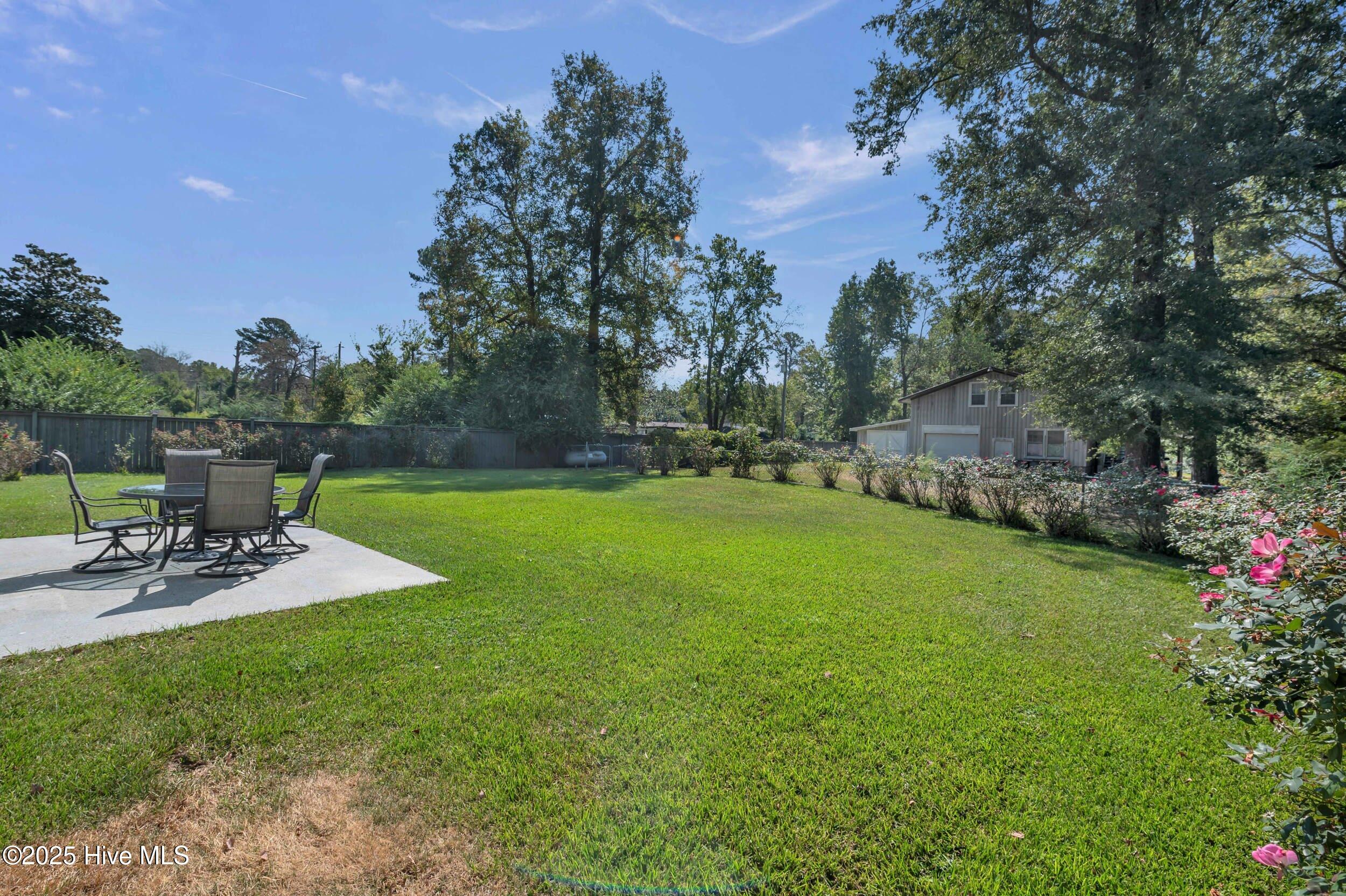 100532115 | Photo 37