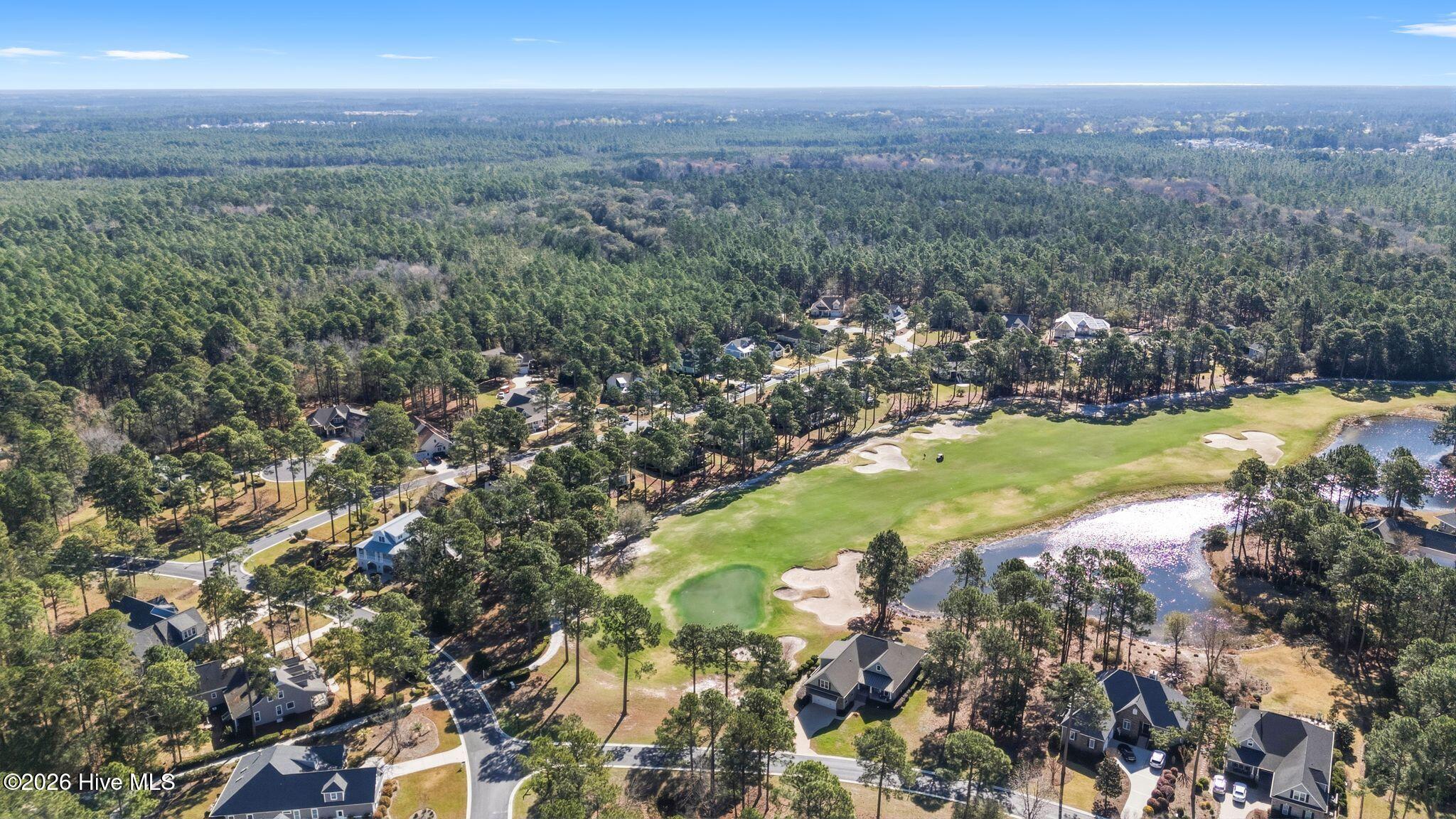 100564432 | Photo 60