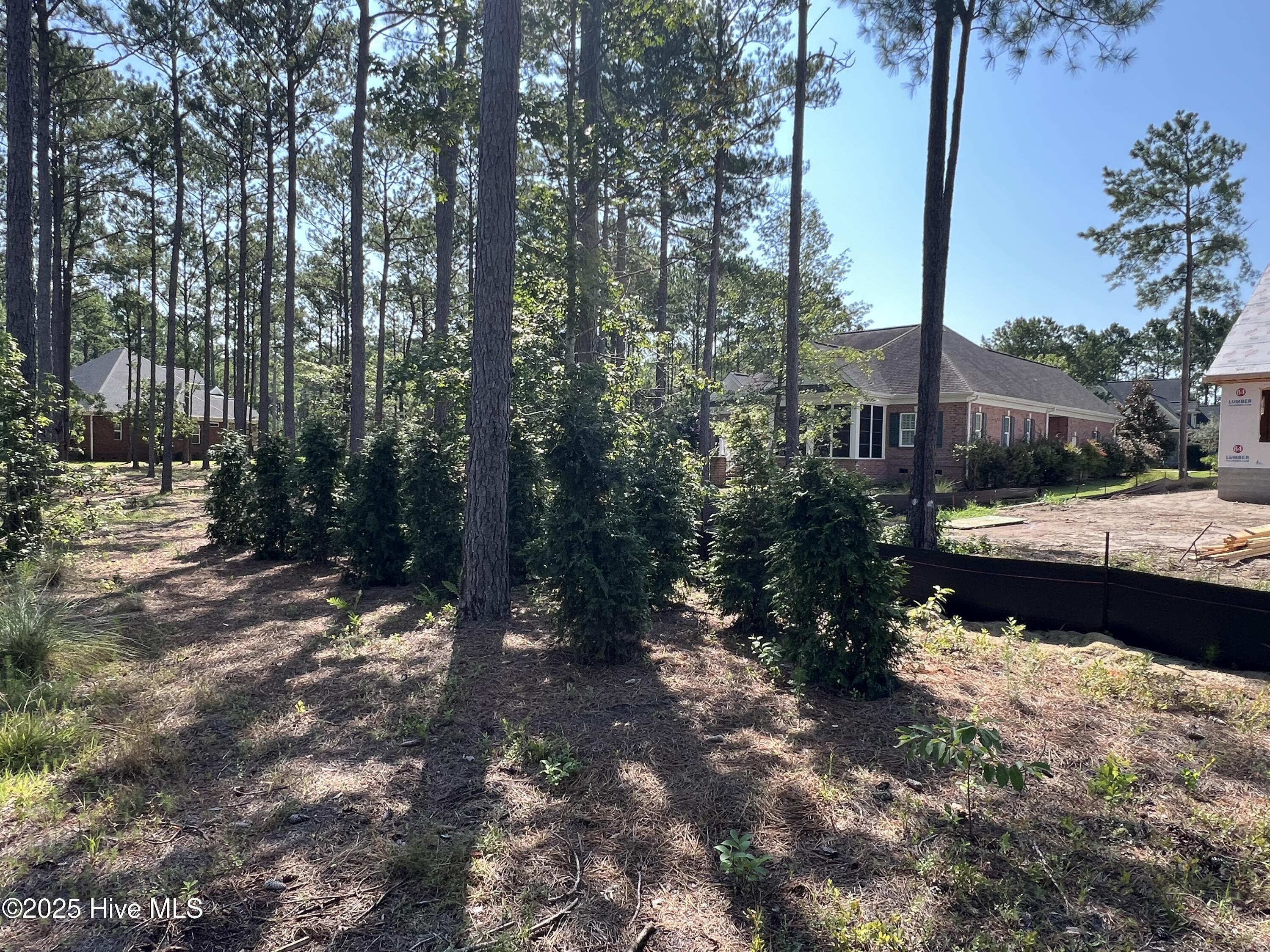 100518368 | Photo 100