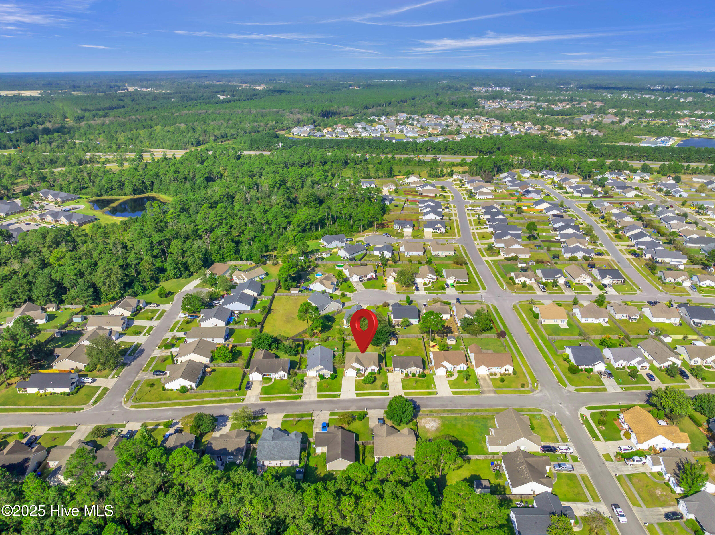 100531255 | Photo 39