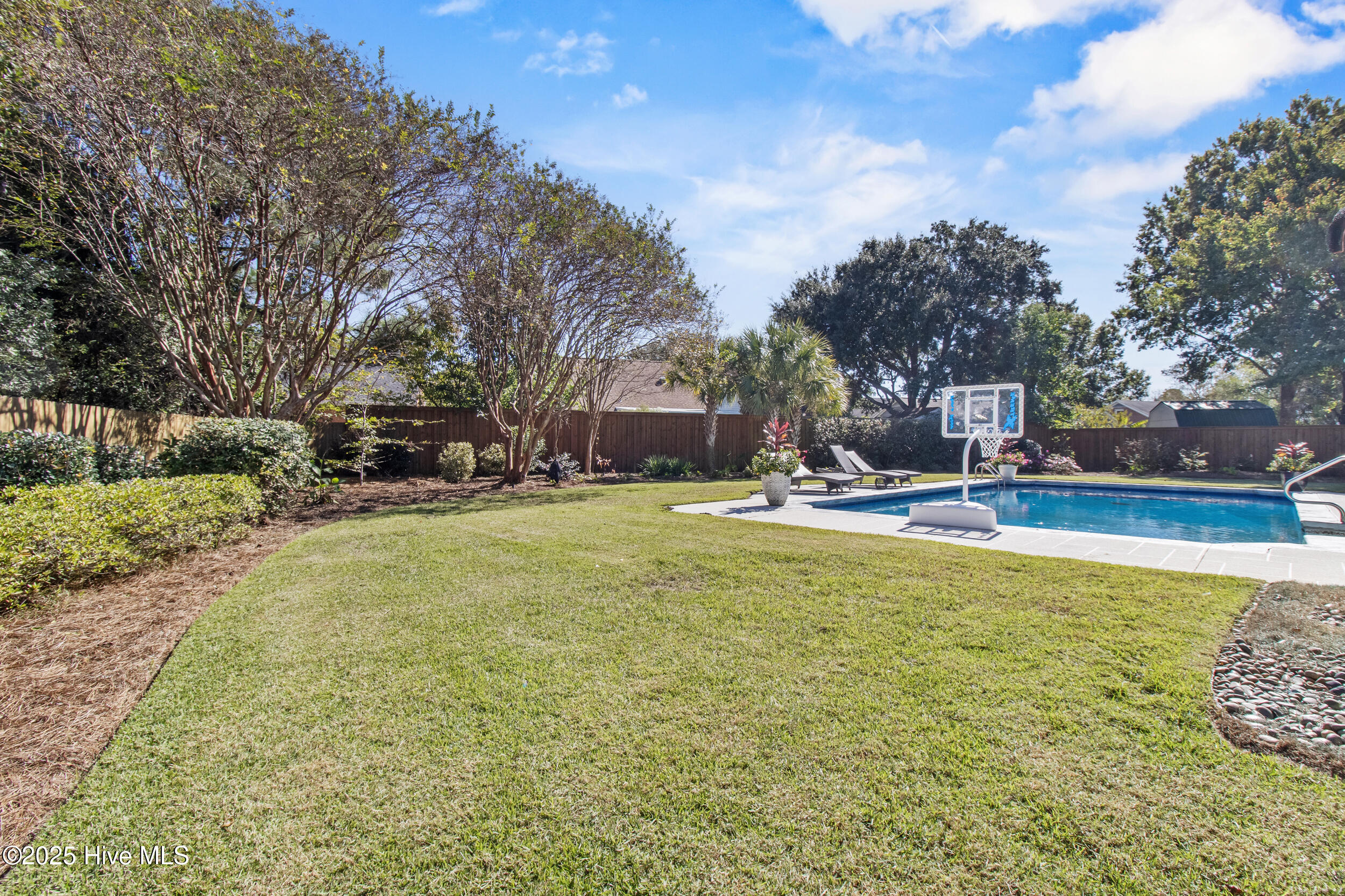 100538758 | Photo 46