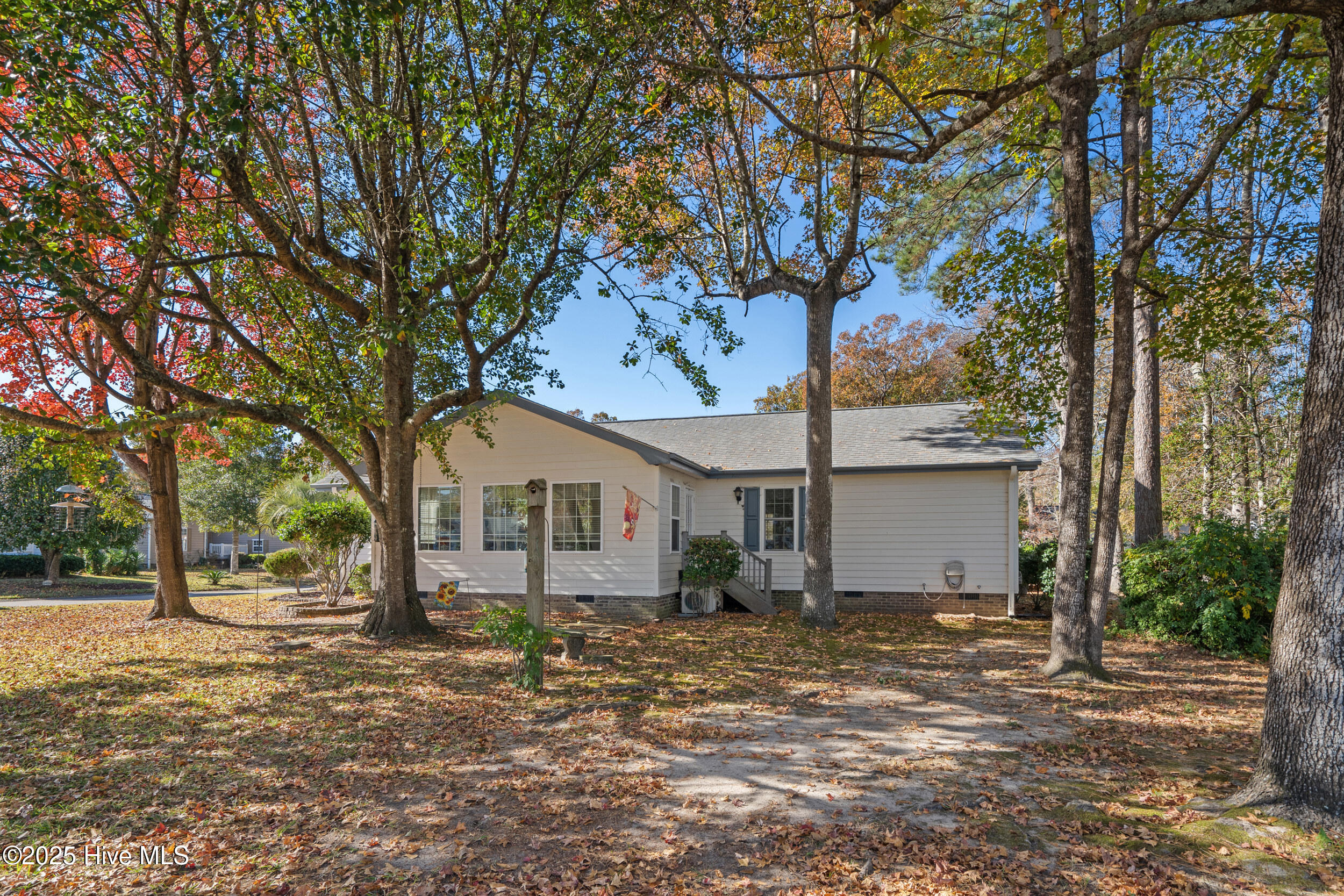 100542117 | Photo 37