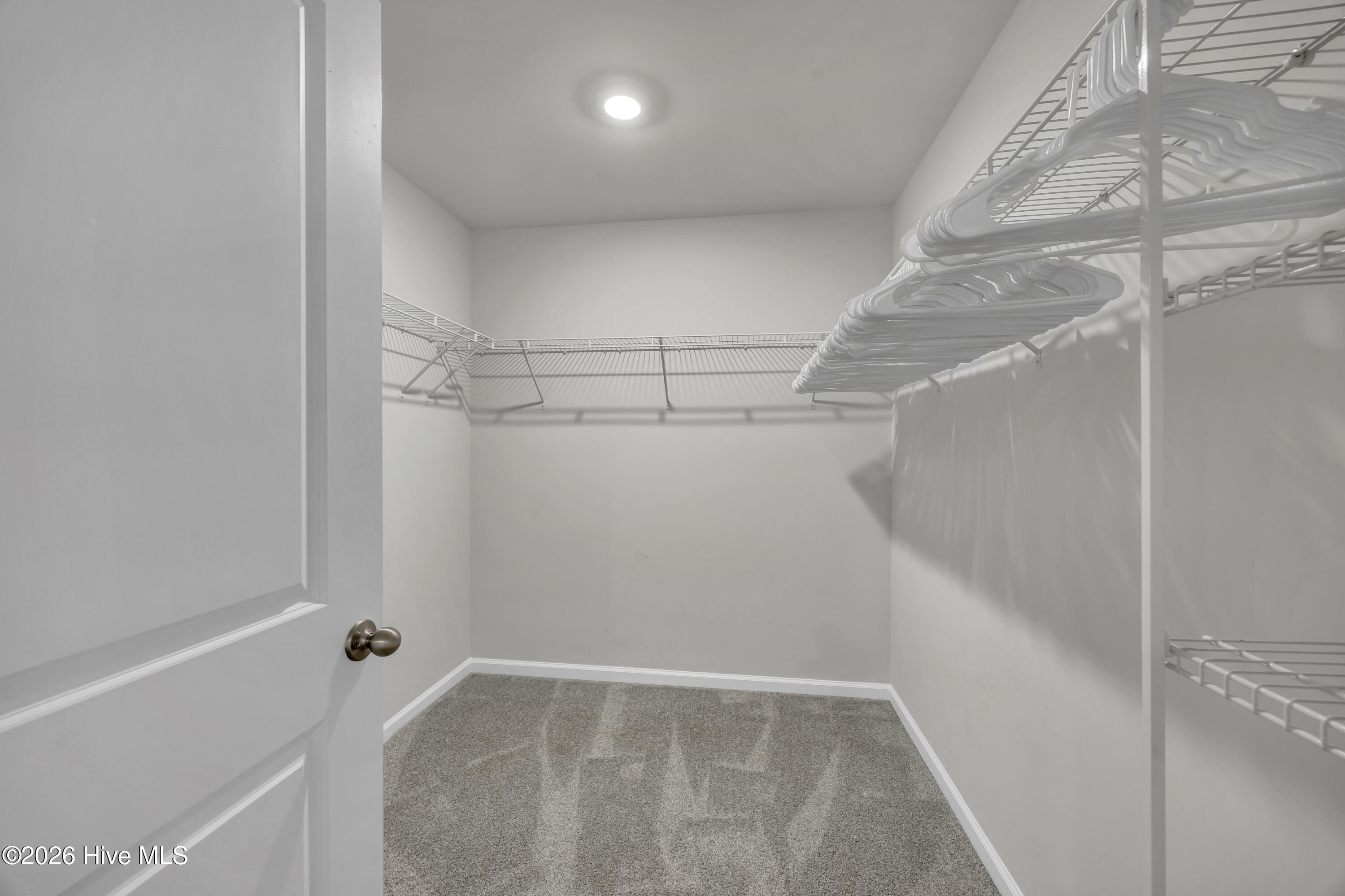 100547237 | Photo 21