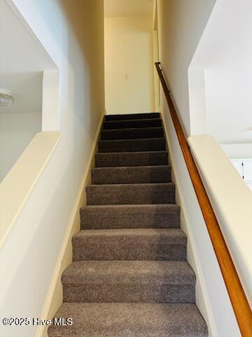 100511811 | Photo 23