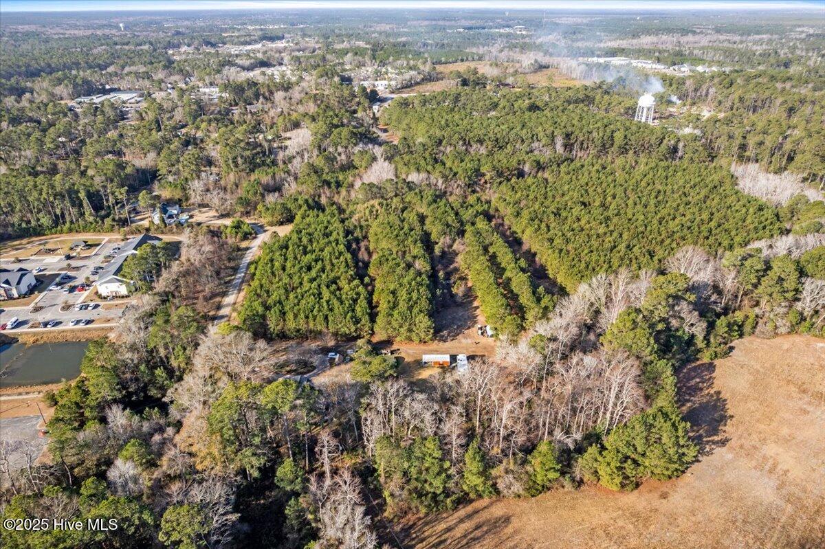 100488410 | Photo 11