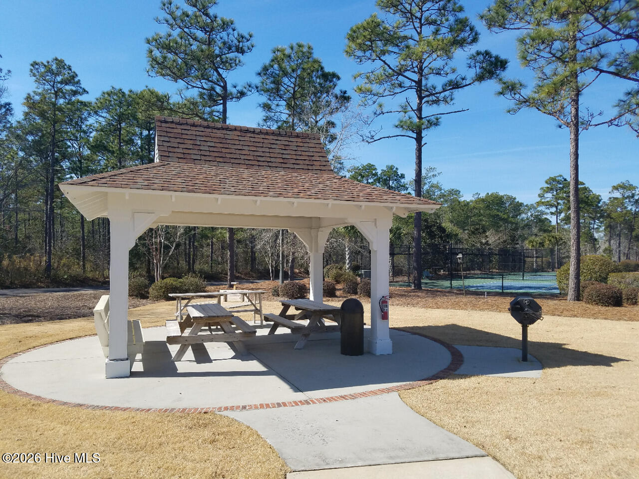 100547774 | Photo 22