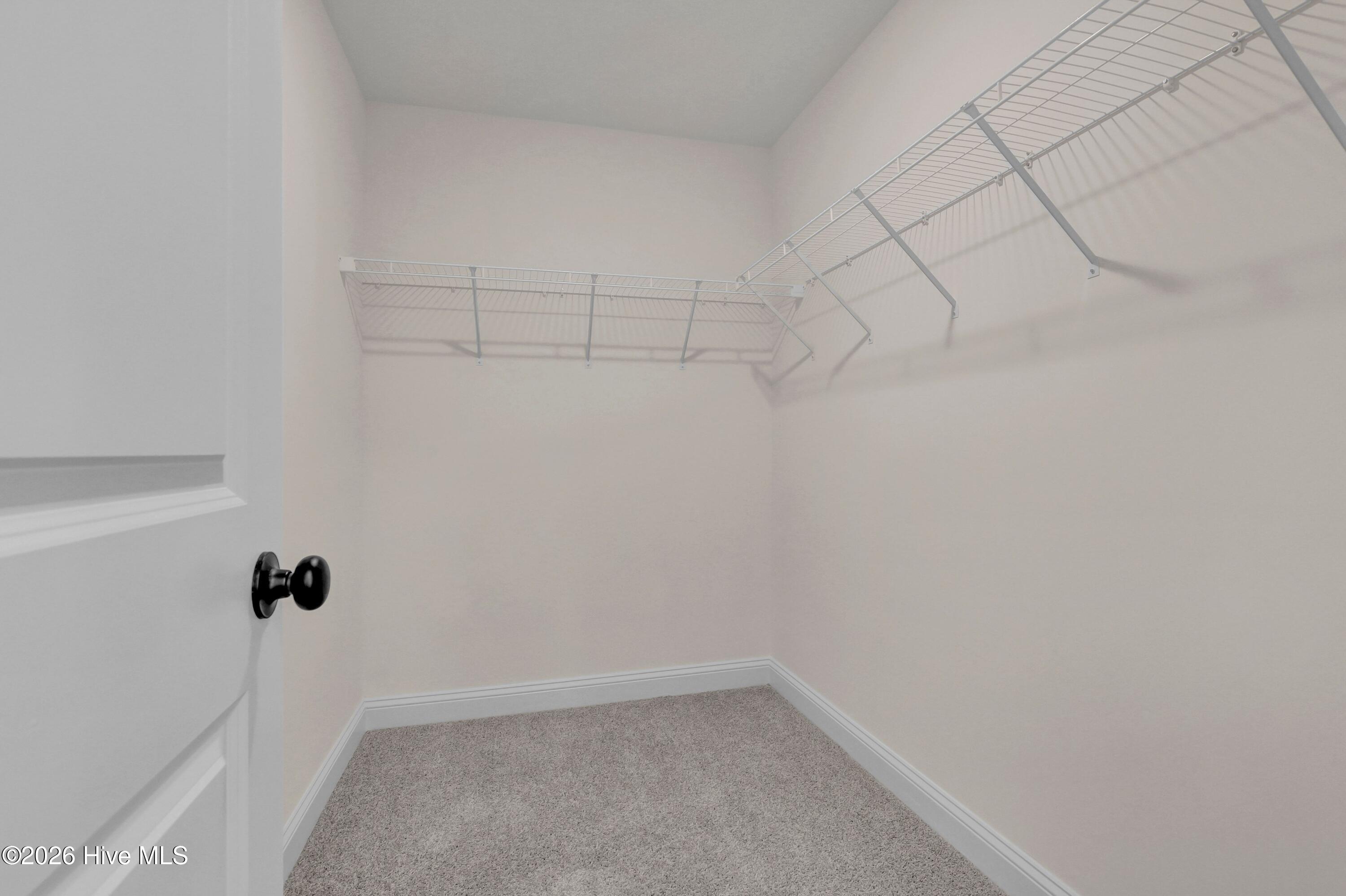 100559482 | Photo 30